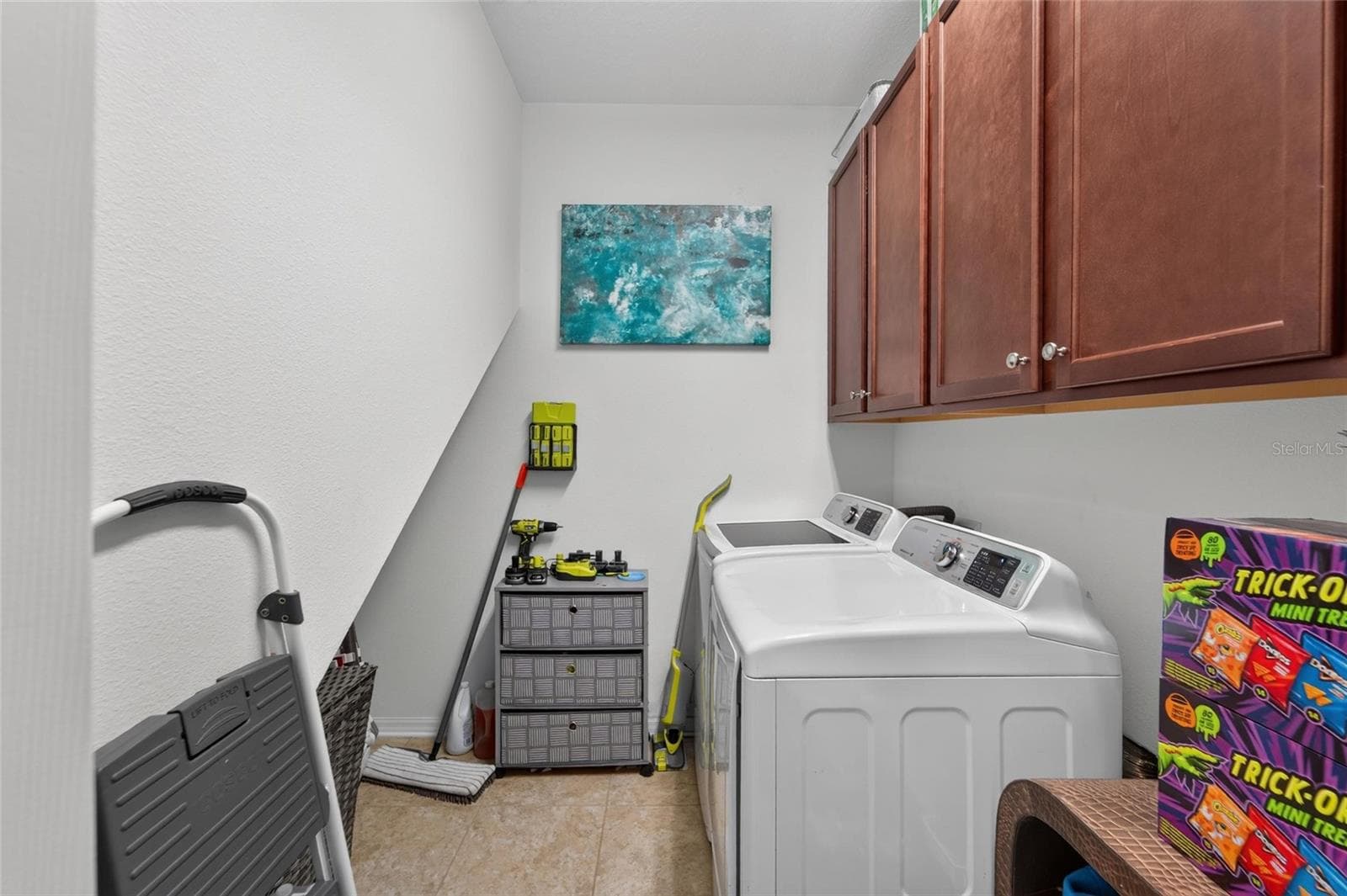Single Family Residence at 11520 SCARLET IBIS PL, RIVERVIEW, photo 26 of 63