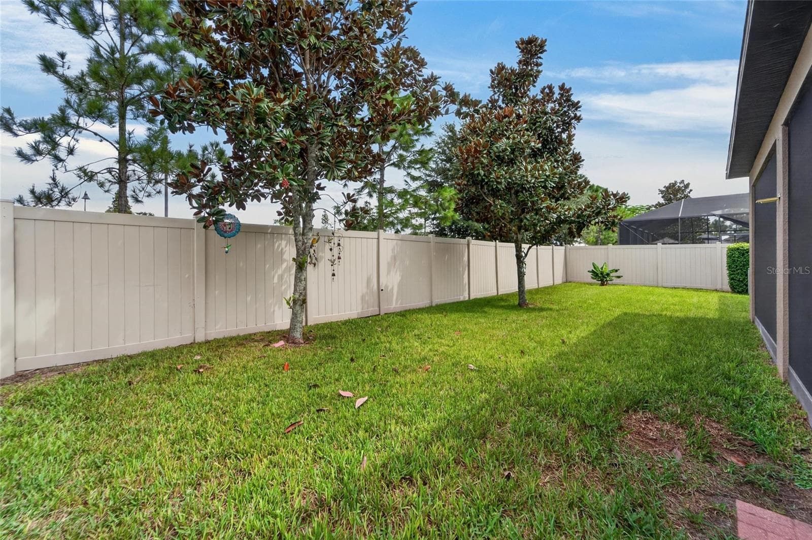 Single Family Residence at 11520 SCARLET IBIS PL, RIVERVIEW, photo 47 of 63