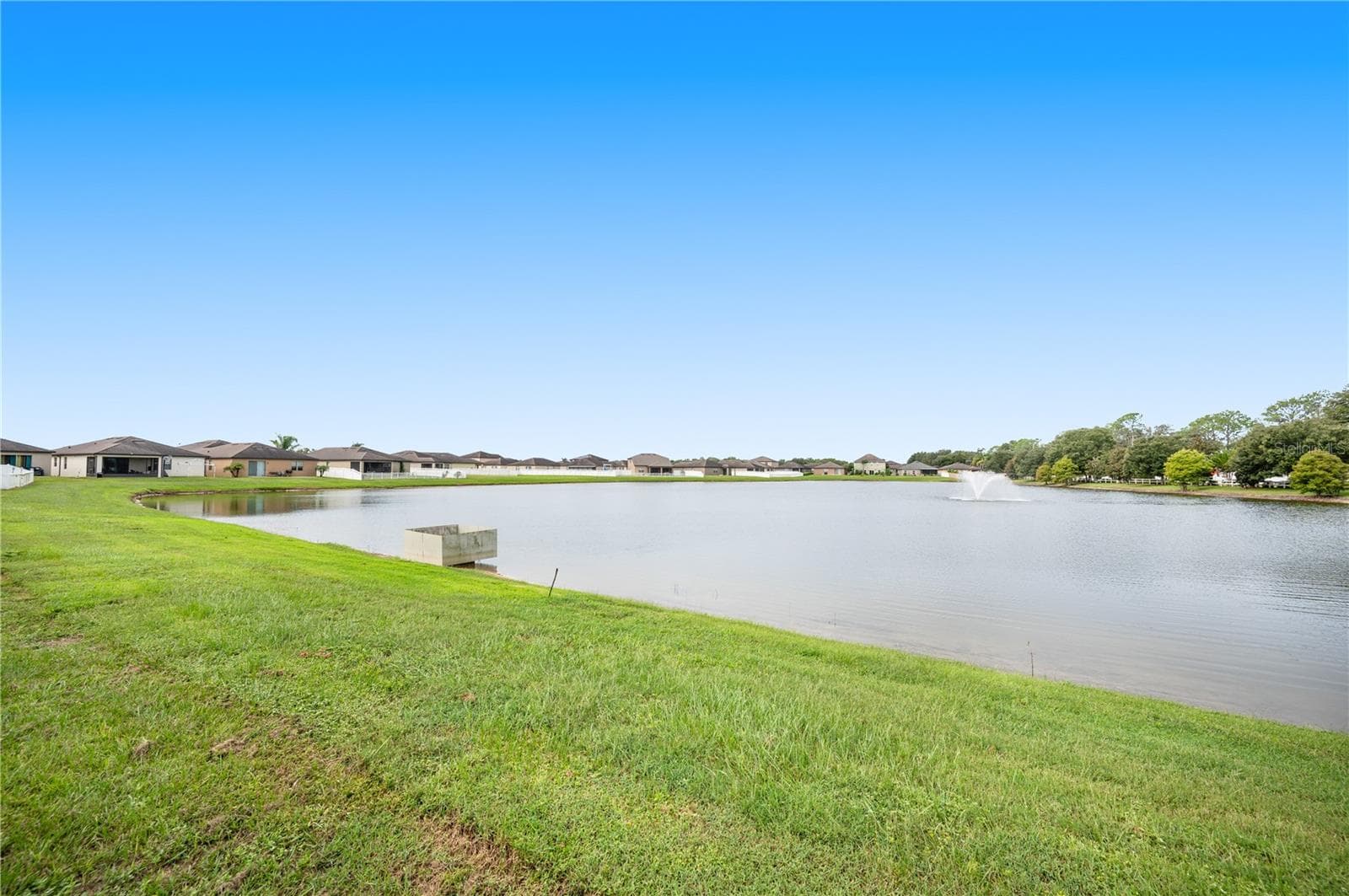 Backyard Pond View - 8751 RINDGE RD, POLK CITY