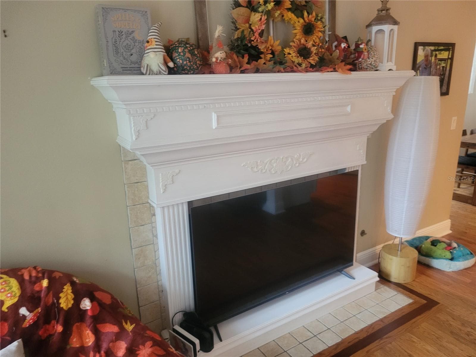 Fireplace - 206 FEARON AVE, MOUNT DORA