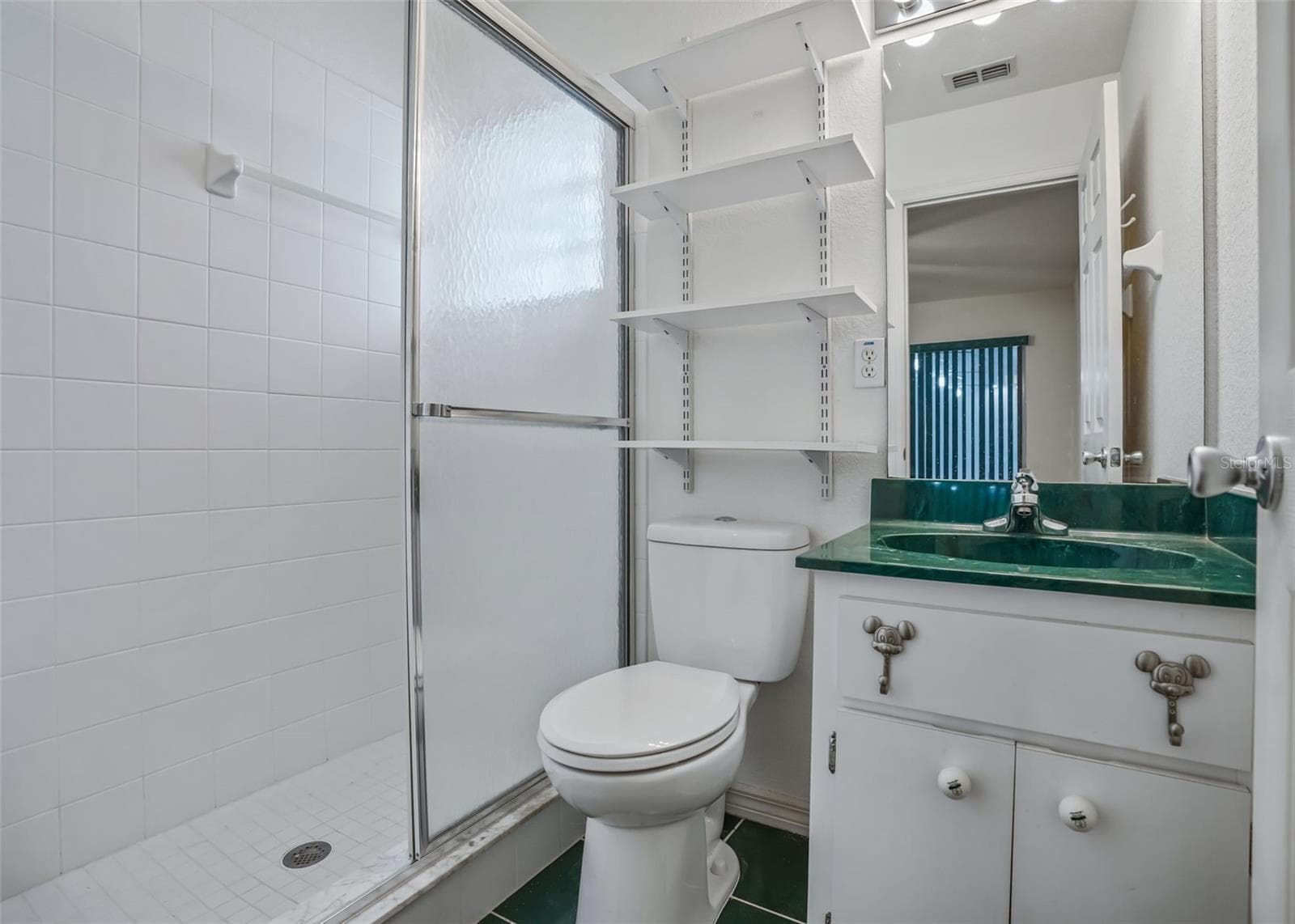 Full bathroom w/Tiled Walk in Shower in Cassita - 17681 SE 115TH CT, SUMMERFIELD
