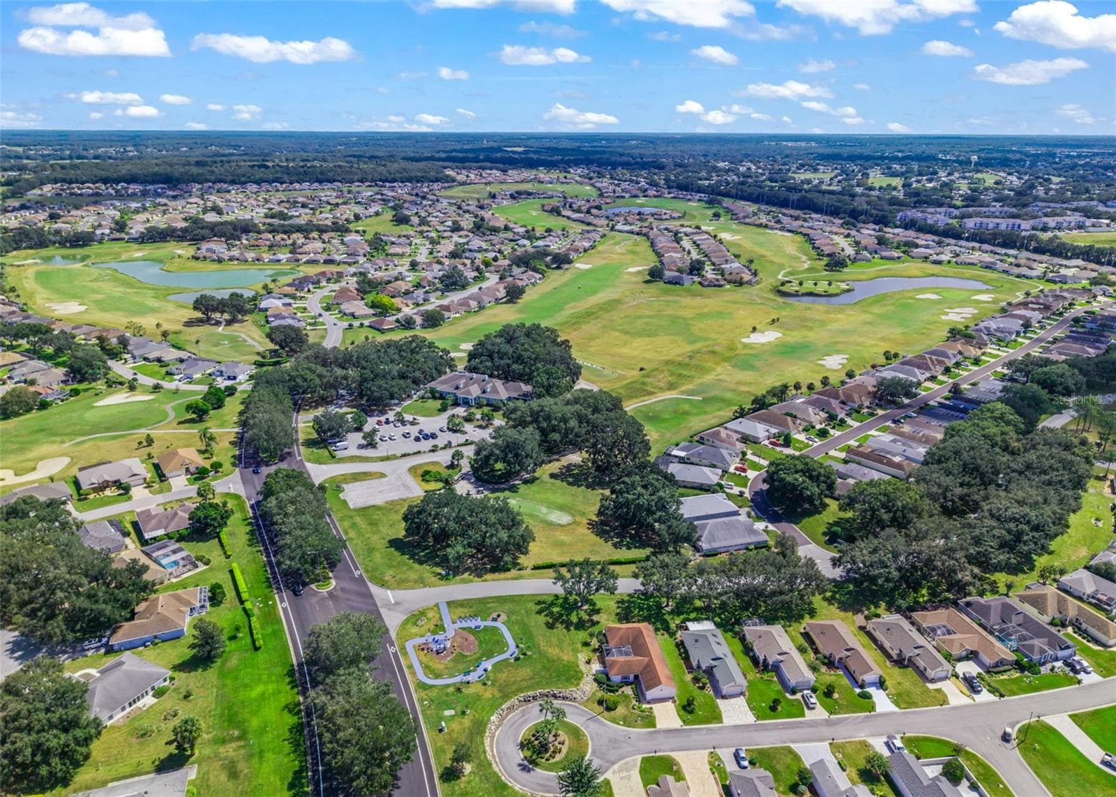 Retreat to a Private Outdoor Oasis! - 17681 SE 115TH CT, SUMMERFIELD