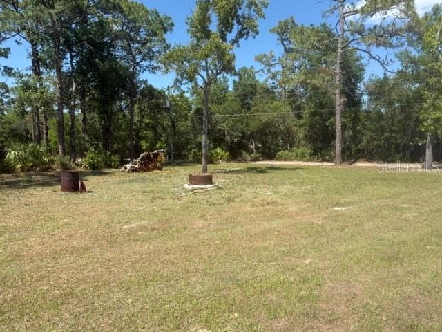 Single Family Residence at 40145 W 7TH AVE, UMATILLA, photo 19 of 20