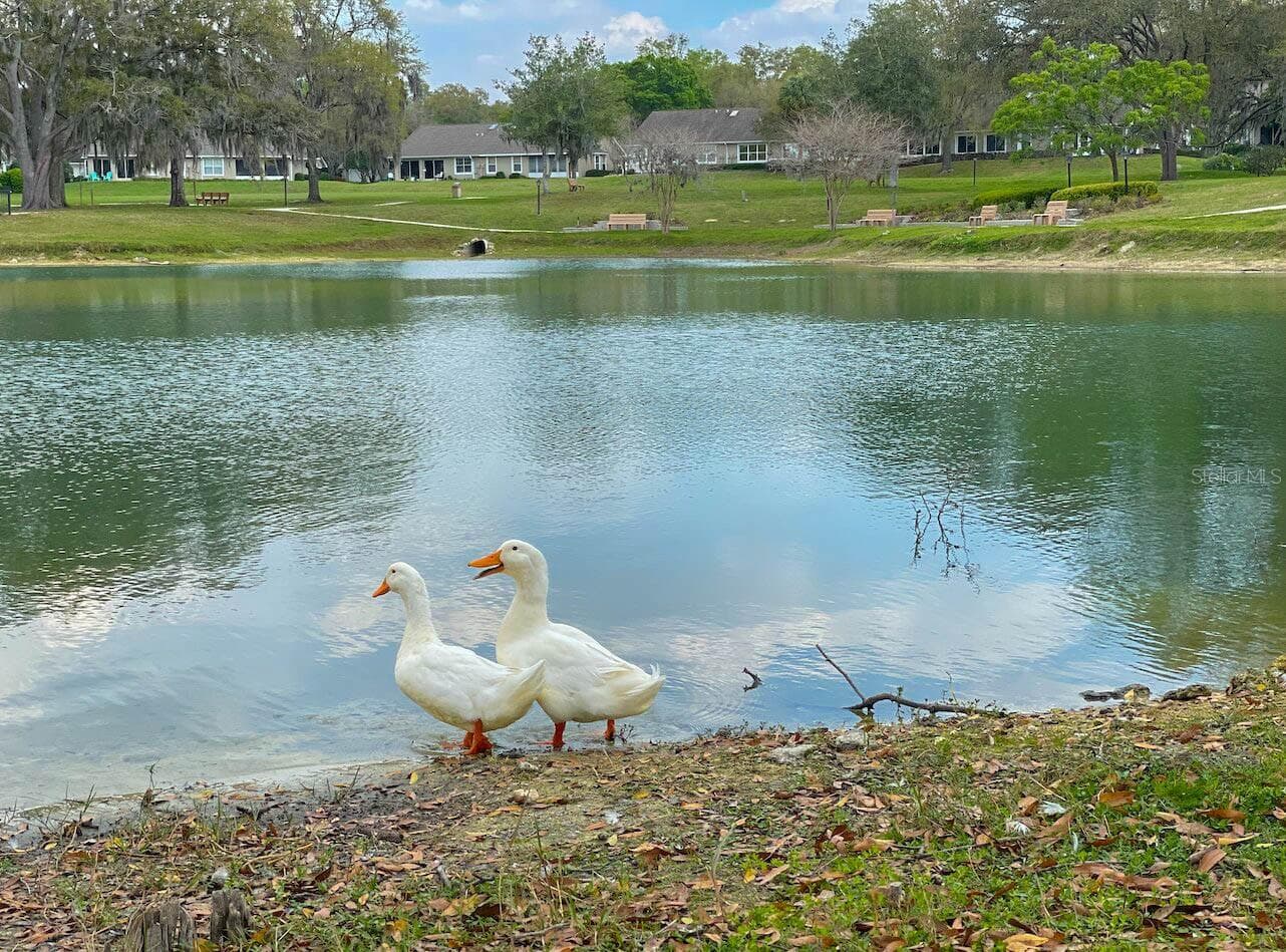 Hillcrest Village - 1635 N MARLBOROUGH LOOP, CRYSTAL RIVER