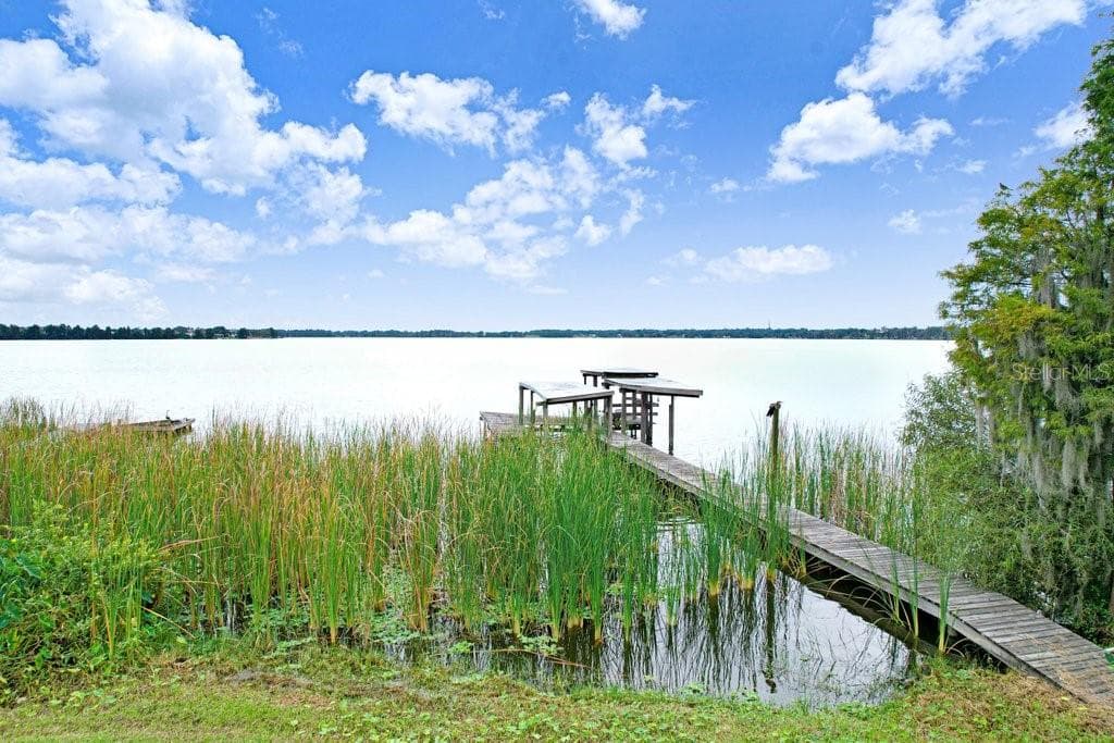 Your own private dock - 11337 KNIGHTS GRIFFIN RD, THONOTOSASSA