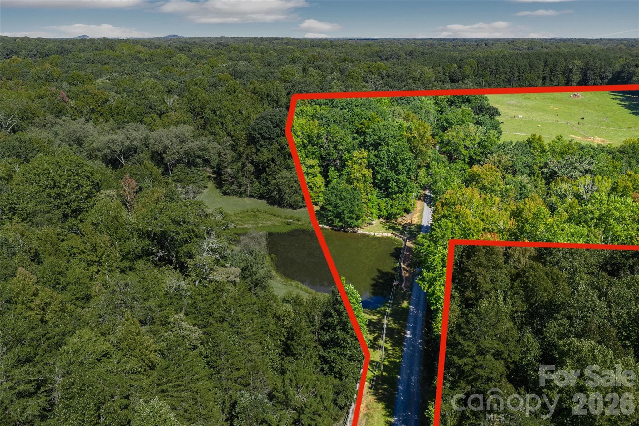 Stocked pond with bream and bass - 996 Beamguard Road, Clover