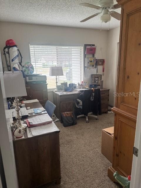GUEST BEDROOM - BELLE ISLE