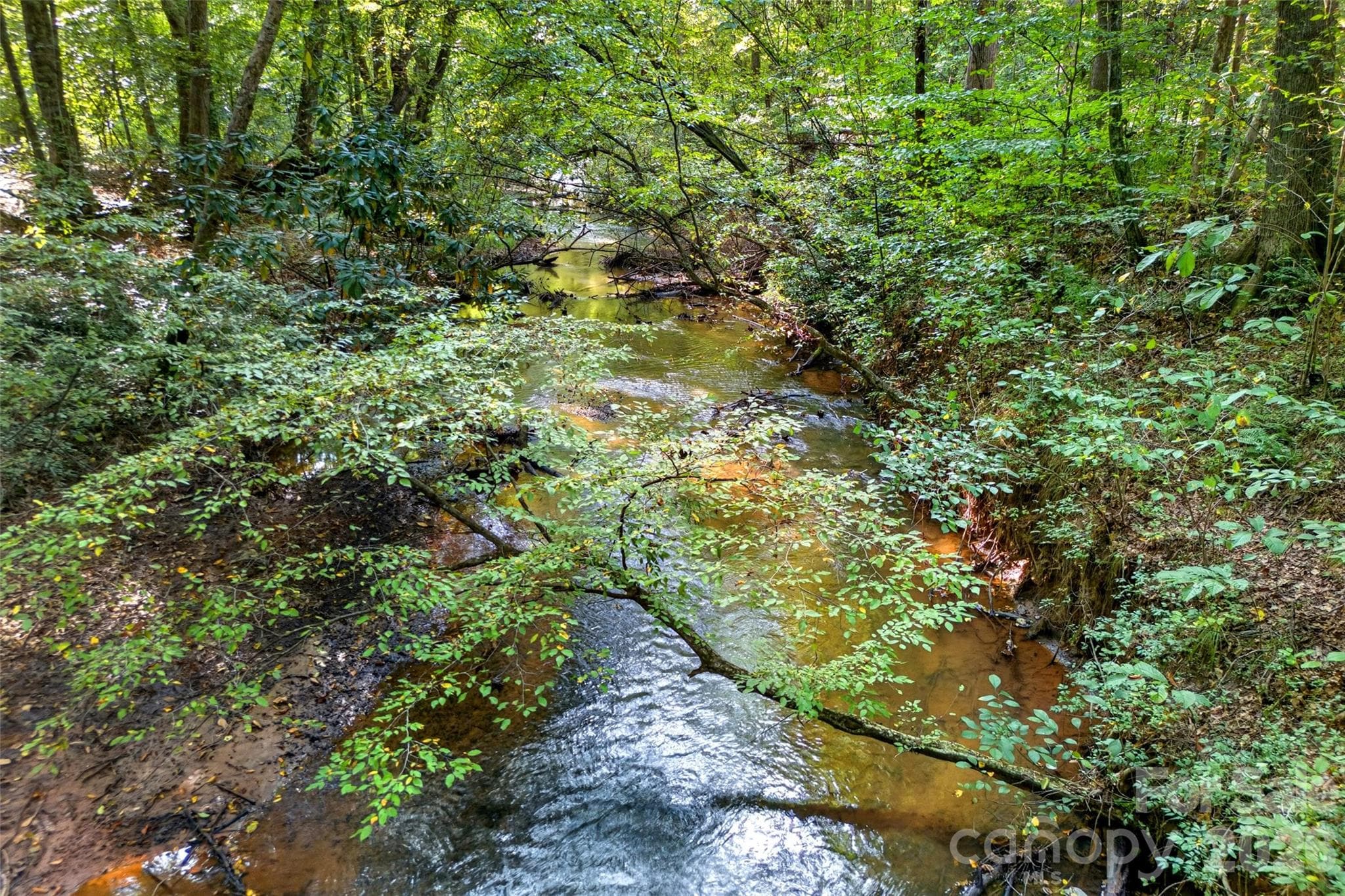 Creek on the property - 242 Falling Creek Drive, Nebo