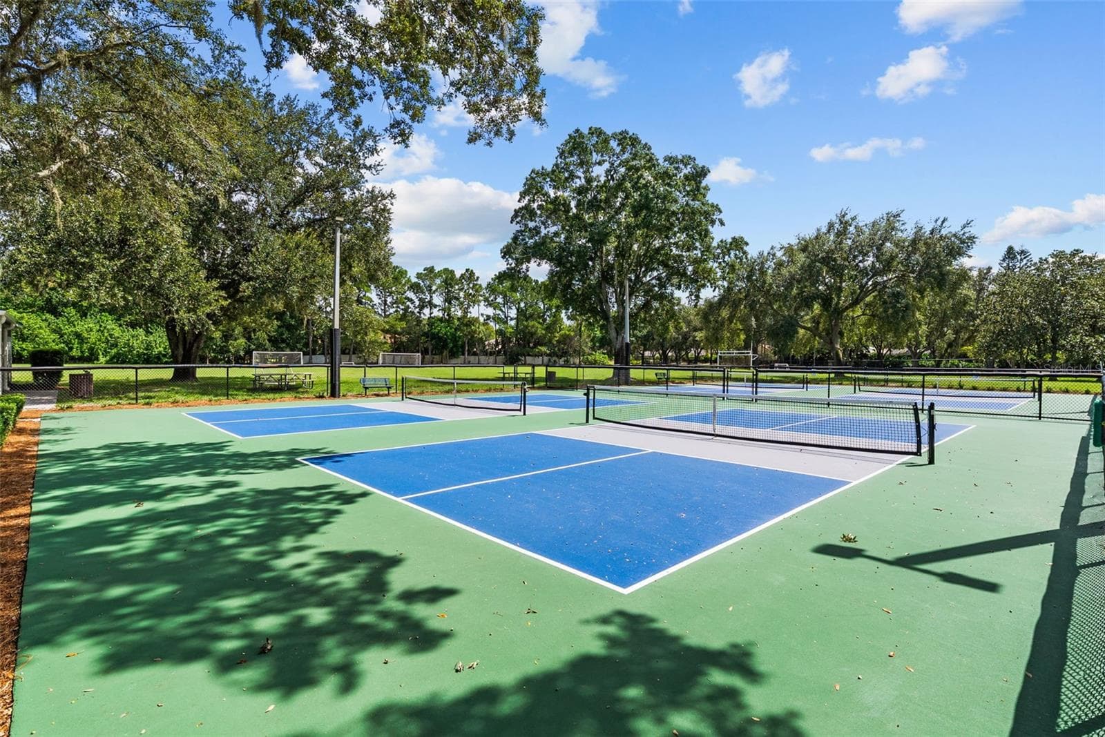 Single Family Residence at 3553 FLORIAN TER, PALM HARBOR, photo 66 of 87