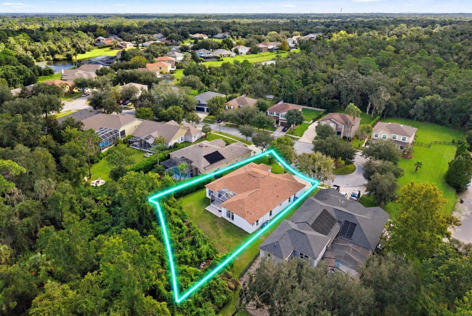 Single Family Residence at 6111 HERONCREST CT, LITHIA, photo 4 of 57