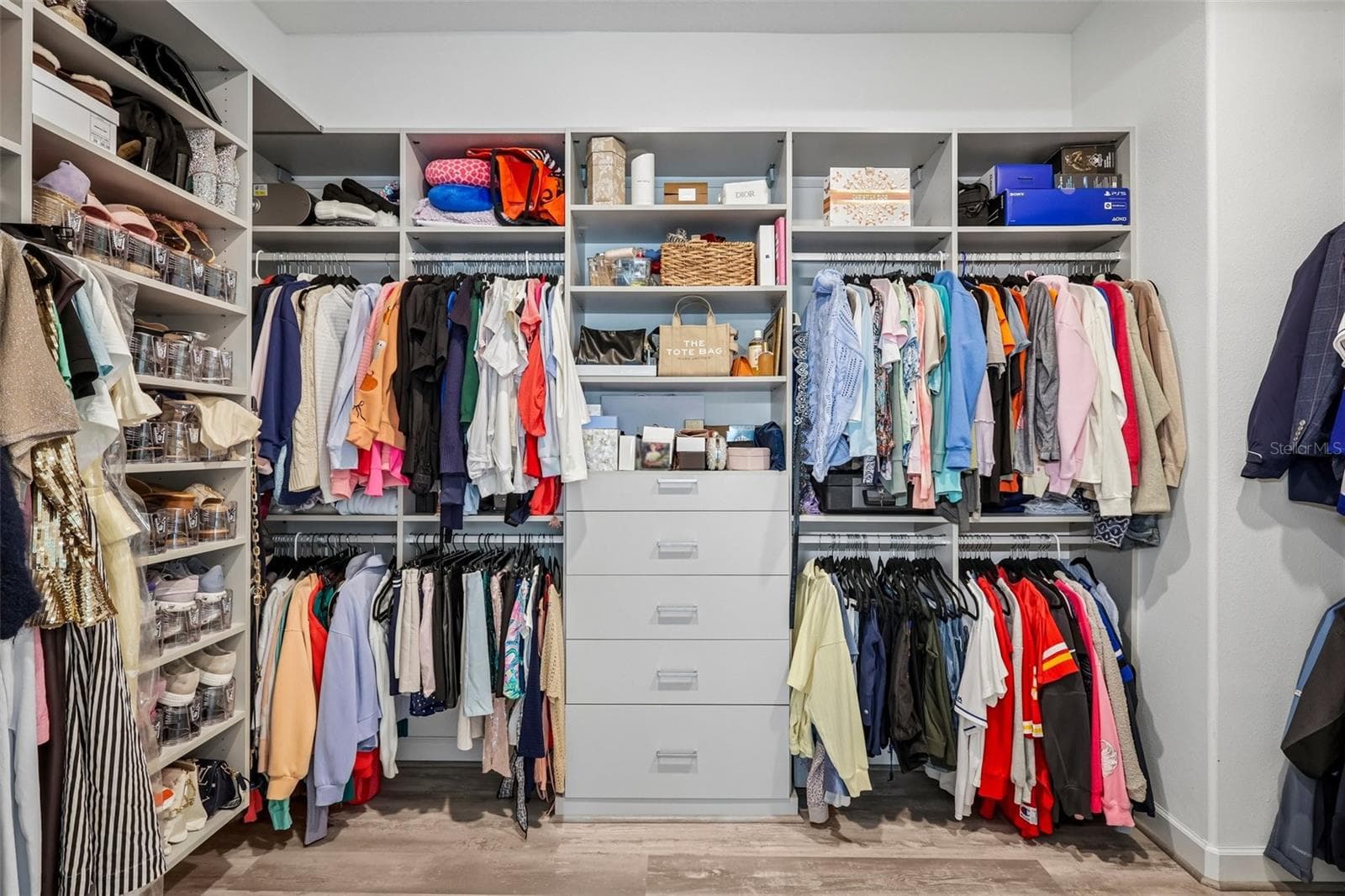 Primary bedroom closet with custom organizers built in - 17022 FORGE SURF ST, LAND O LAKES
