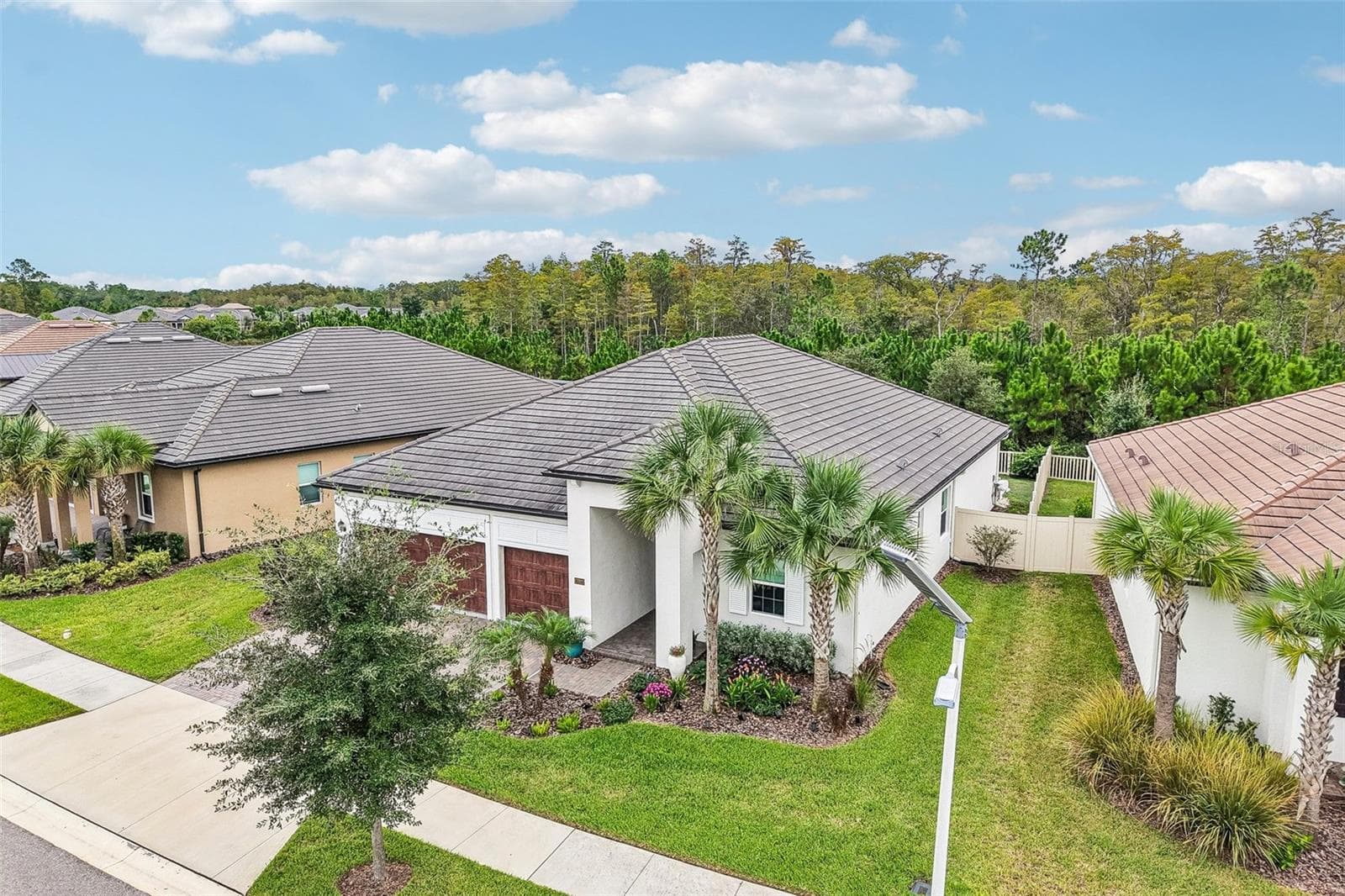 Single Family Residence at 17022 FORGE SURF ST, LAND O LAKES, photo 47 of 59