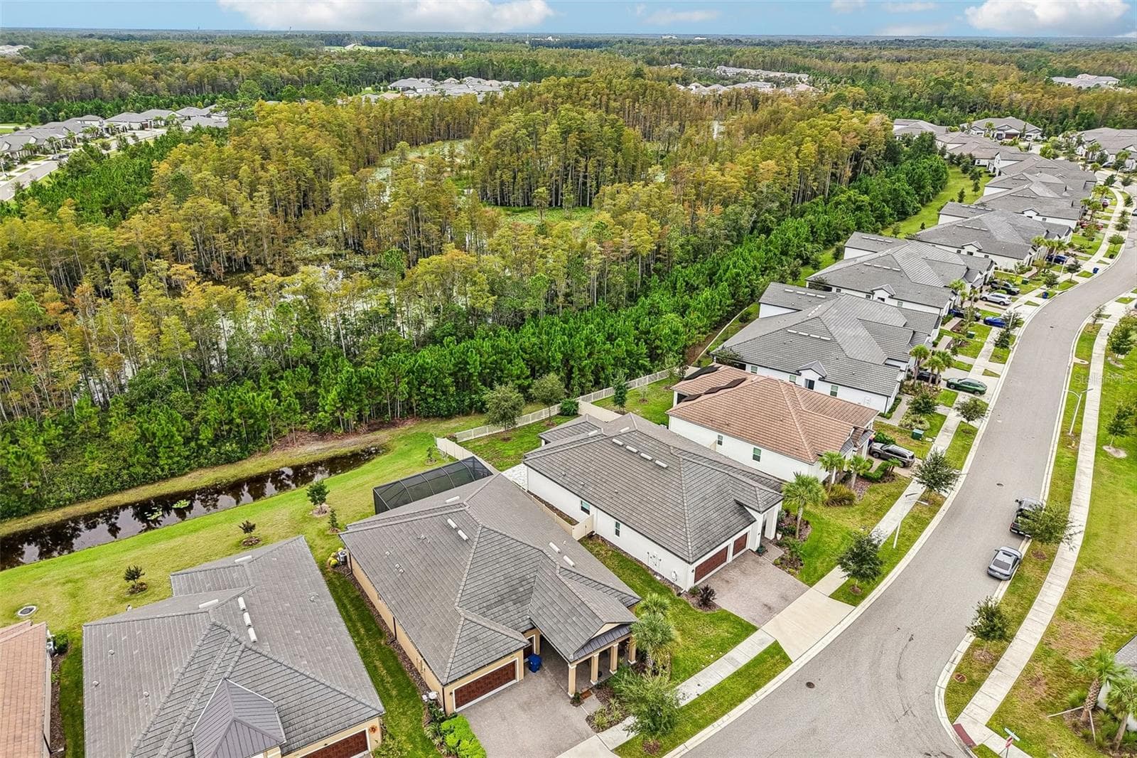 Single Family Residence at 17022 FORGE SURF ST, LAND O LAKES, photo 48 of 59