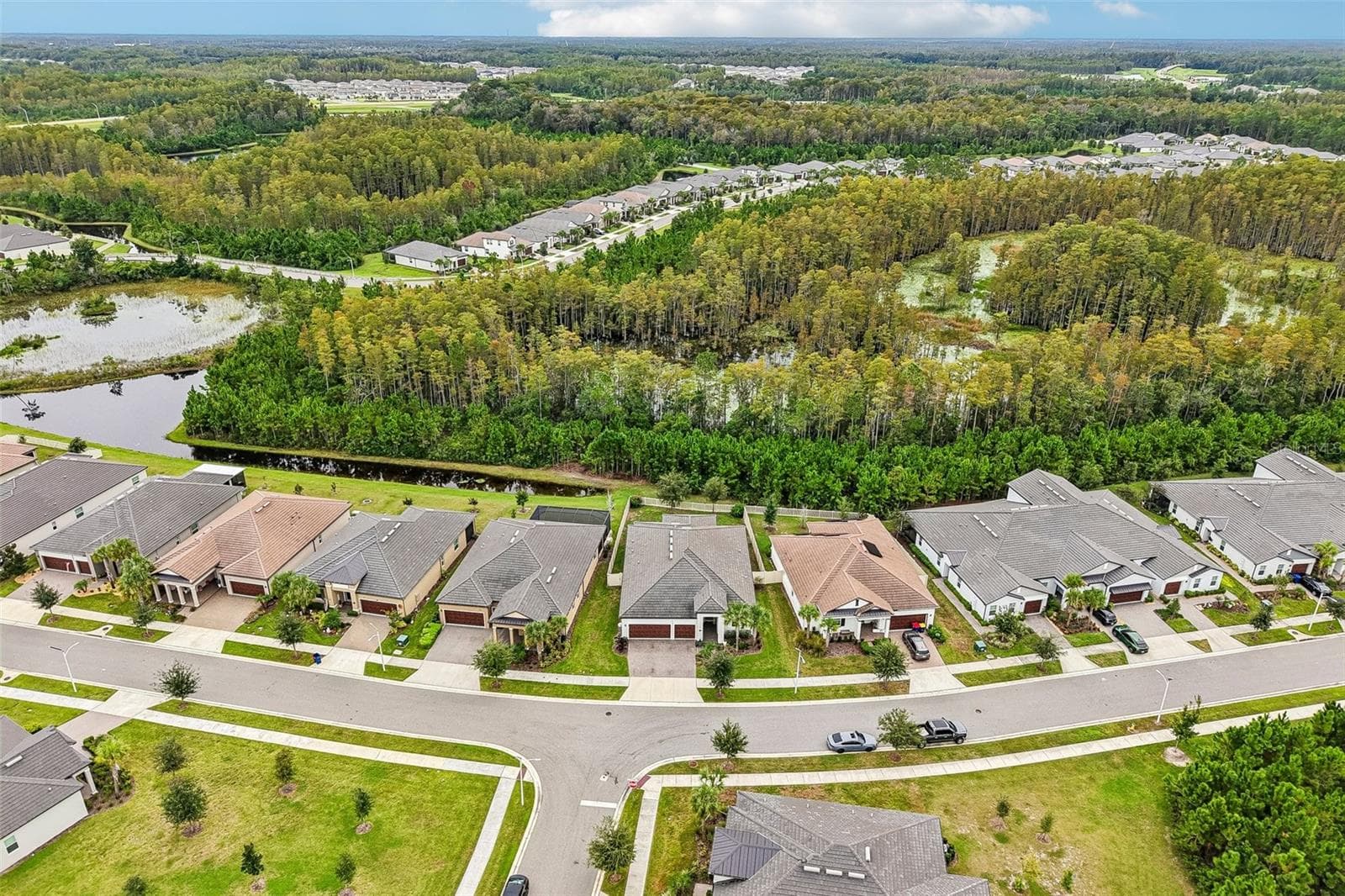 Single Family Residence at 17022 FORGE SURF ST, LAND O LAKES, photo 49 of 59