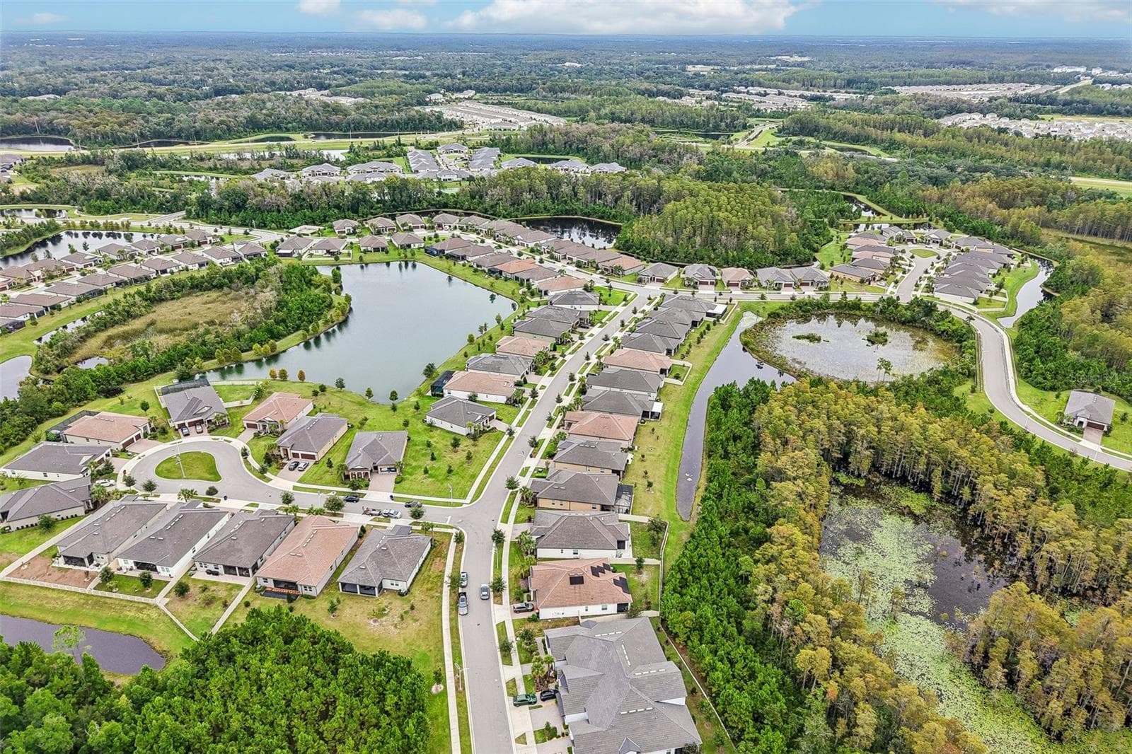 Single Family Residence at 17022 FORGE SURF ST, LAND O LAKES, photo 51 of 59