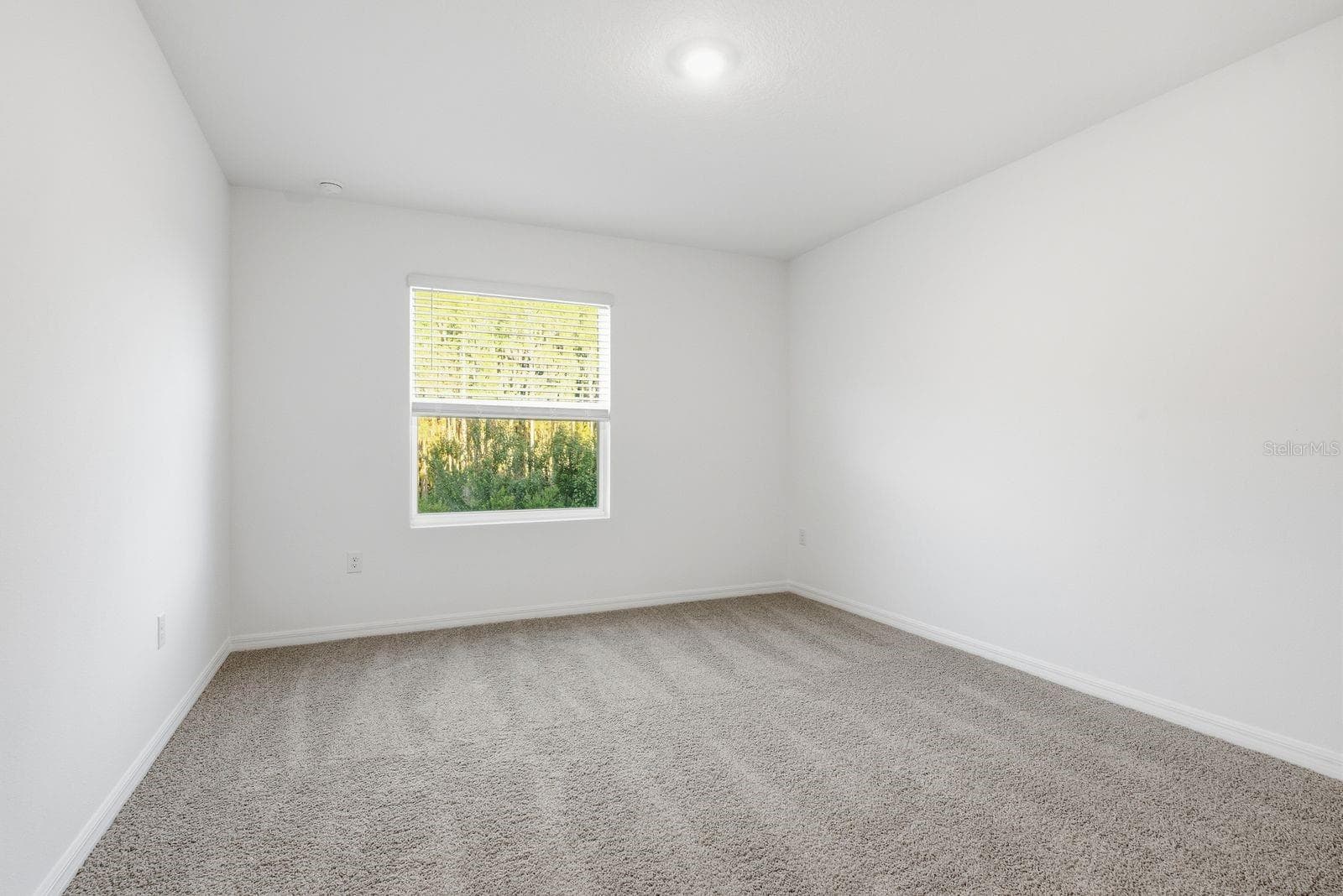 Townhouse at 32451 WELLING BLADE LOOP, WESLEY CHAPEL, photo 23 of 46