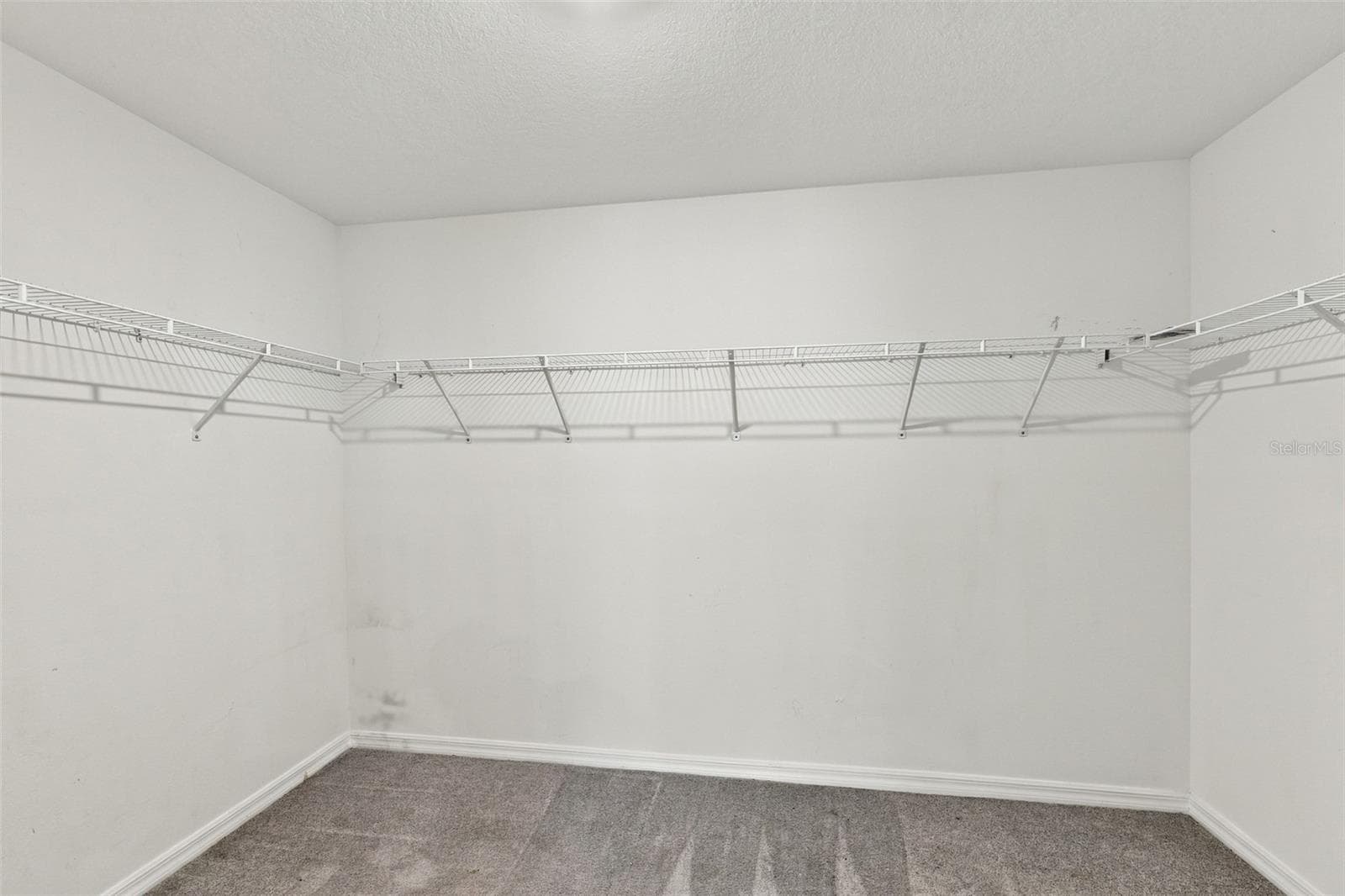 Single Family Residence at 16681 CARLTON POND ST, WIMAUMA, photo 25 of 50