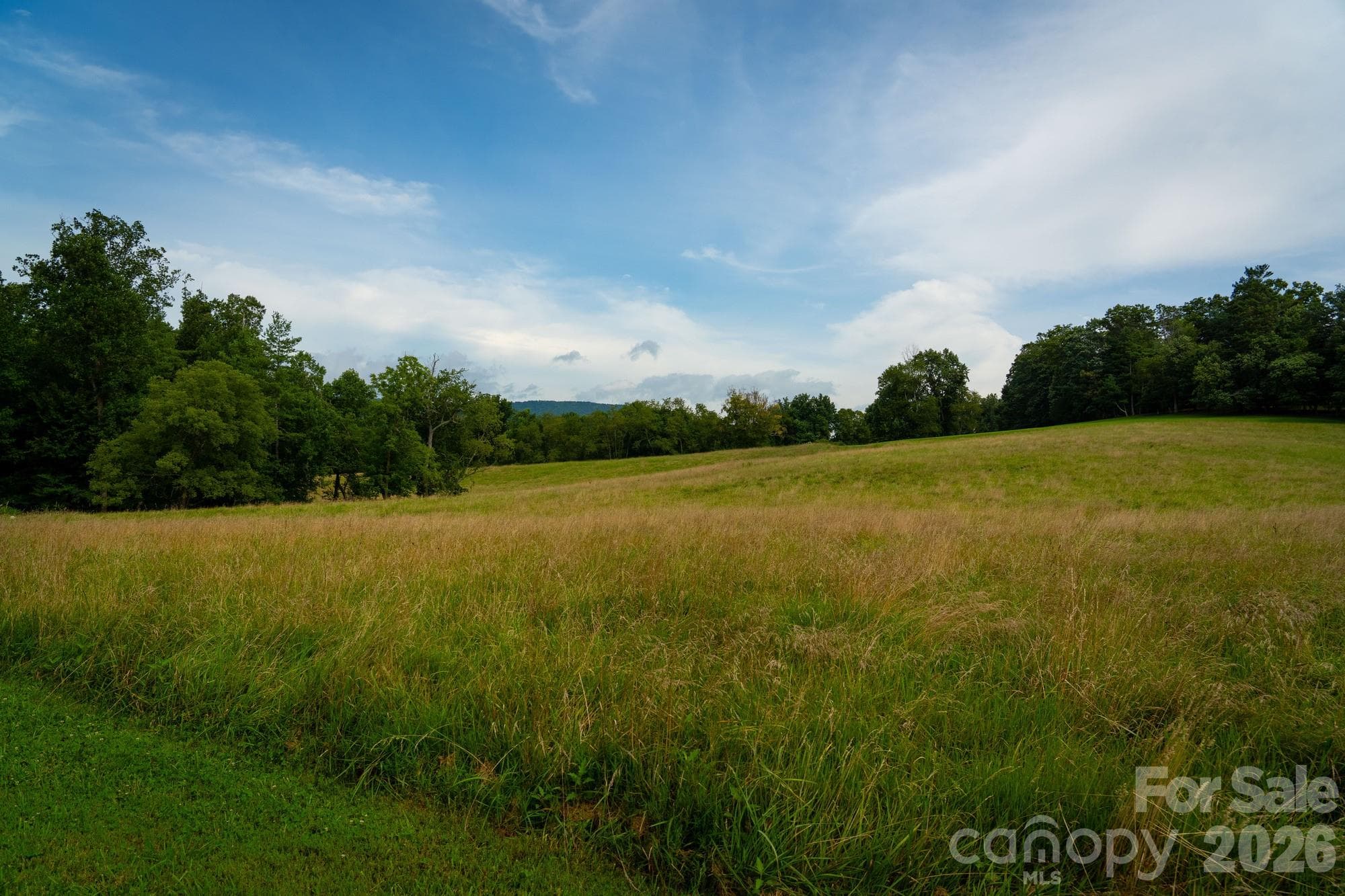 Special Purpose at 185 McKinney Road, Etowah, photo 17 of 30