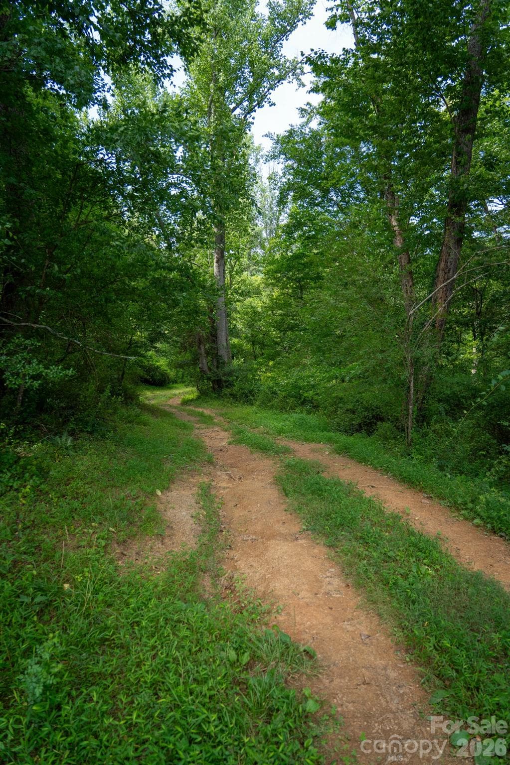 Special Purpose at 185 McKinney Road, Etowah, photo 23 of 30