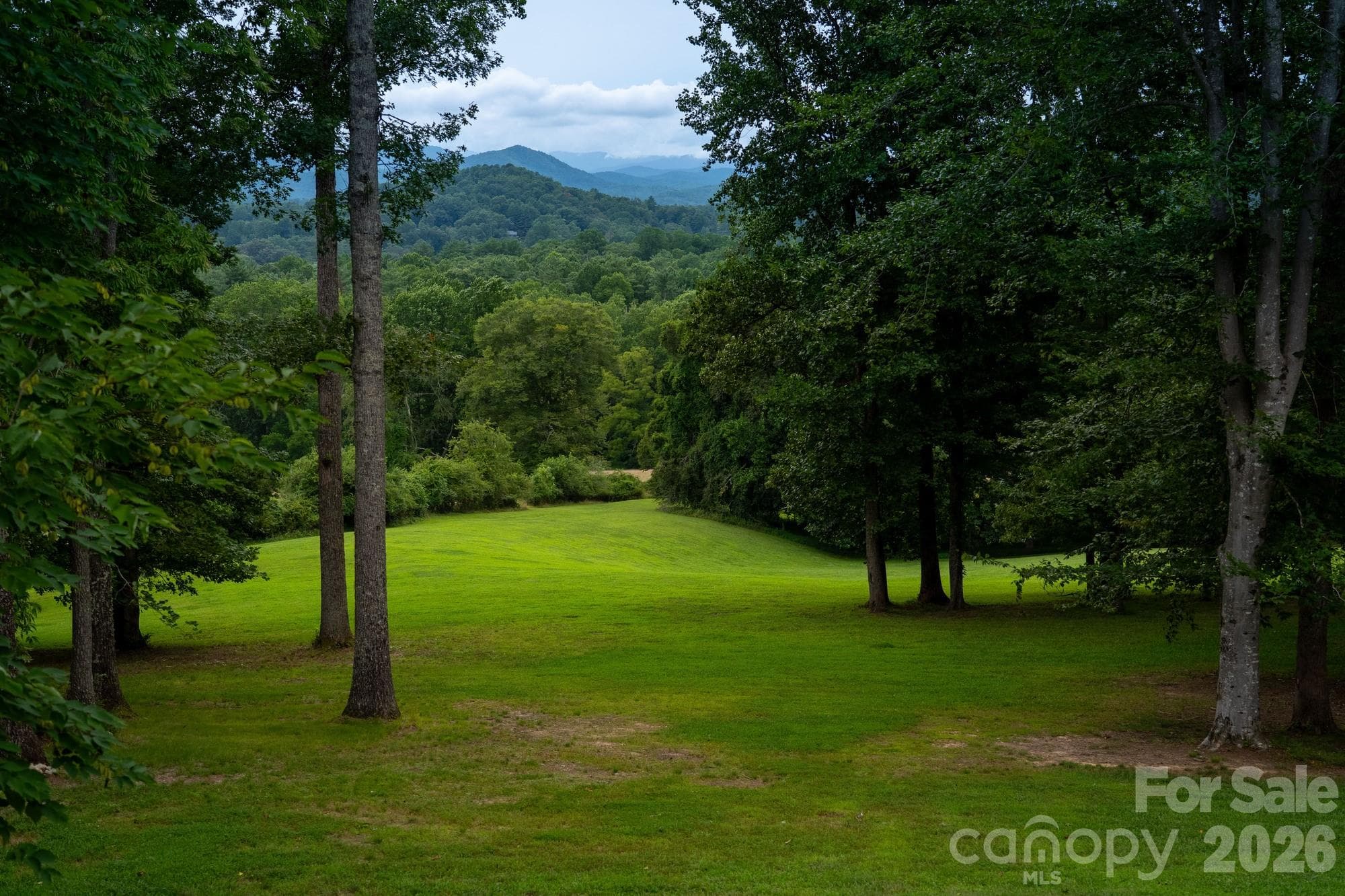 Special Purpose at 185 McKinney Road, Etowah, photo 25 of 30