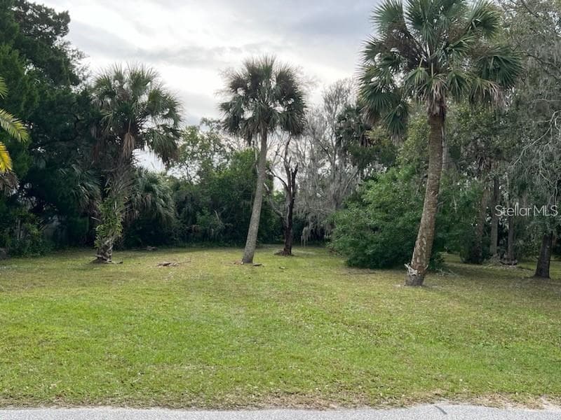 Land at 209 INLET SHORES DR, NEW SMYRNA BEACH, photo 8 of 22