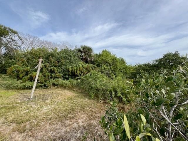 Land at 209 INLET SHORES DR, NEW SMYRNA BEACH, photo 18 of 22