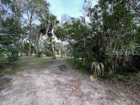 Land at 209 INLET SHORES DR, NEW SMYRNA BEACH, photo 21 of 22
