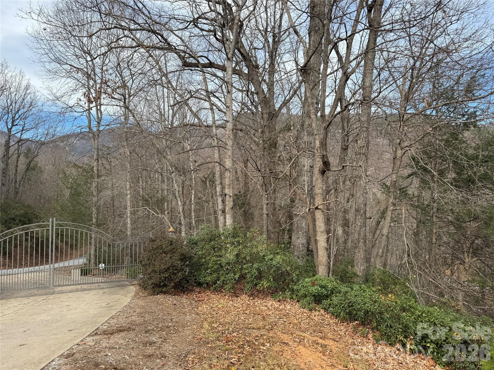 Lot at 0 Deer Trail, Lake Lure, photo 2 of 5
