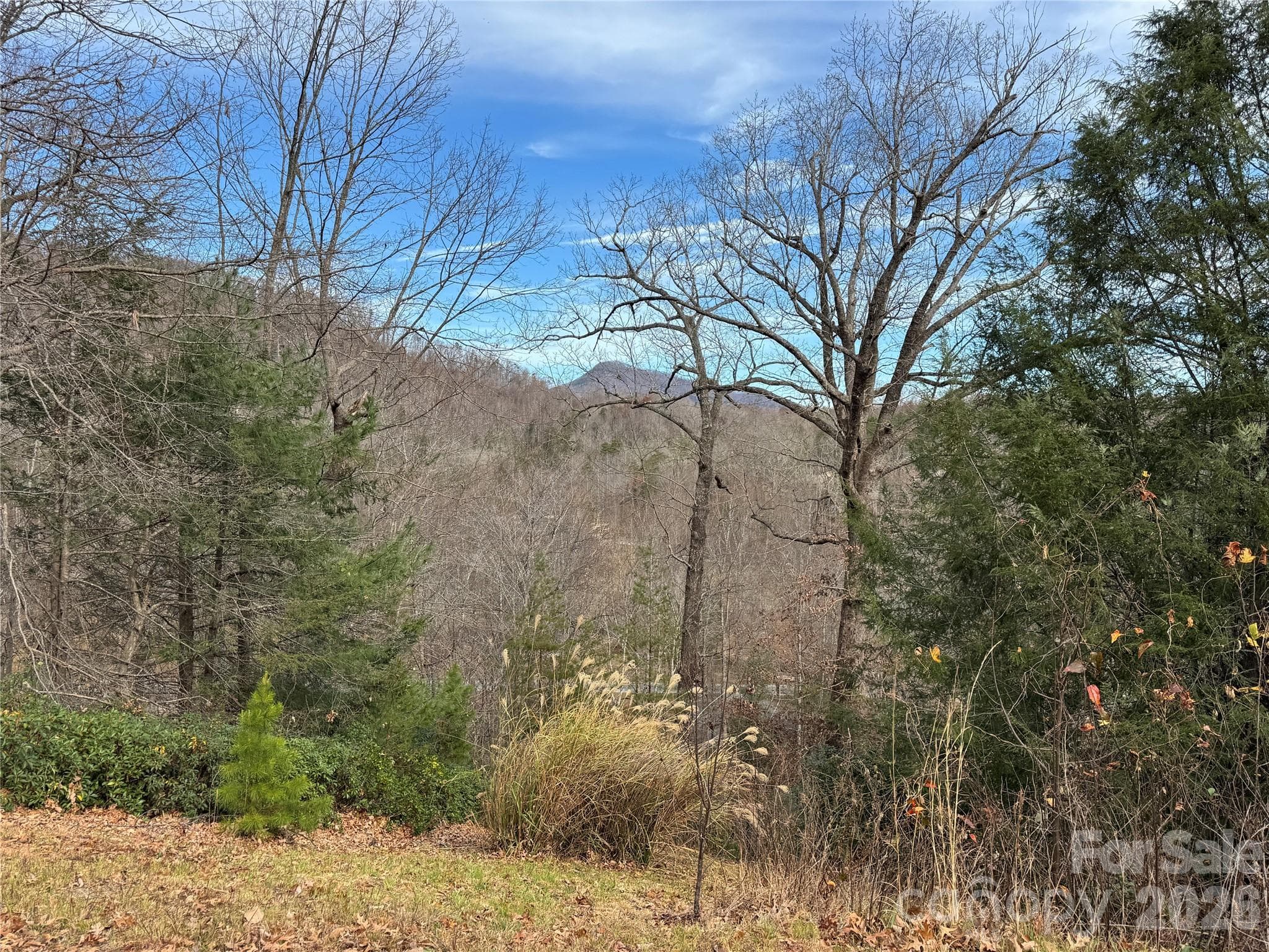 Lot at 0 Deer Trail, Lake Lure, photo 3 of 5