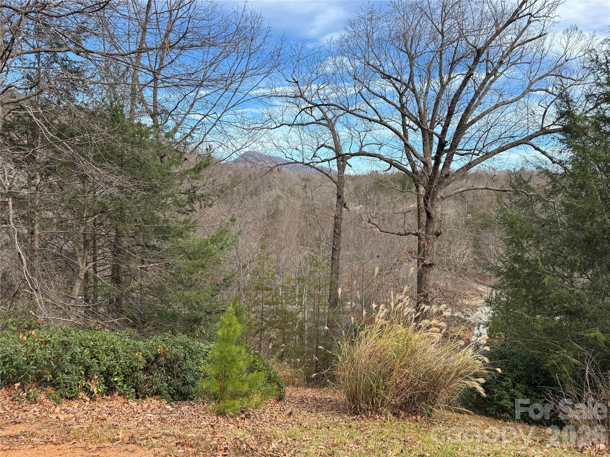 Lot at 0 Deer Trail, Lake Lure, photo 4 of 5