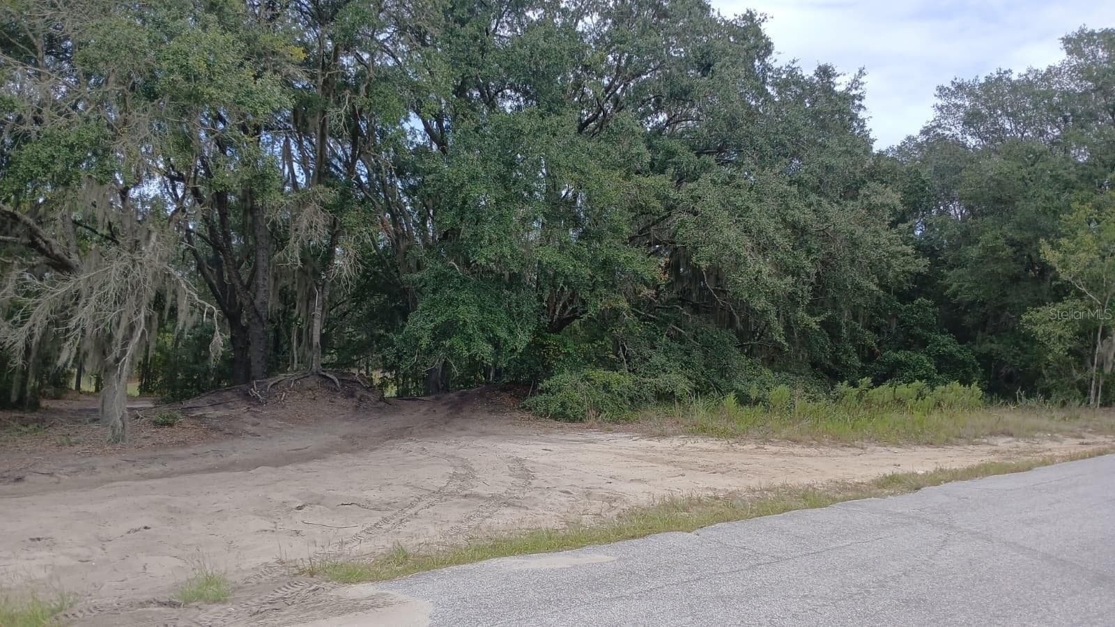 Land at SE MALAUKA LOOP RUN RD, OCKLAWAHA, photo 2 of 3