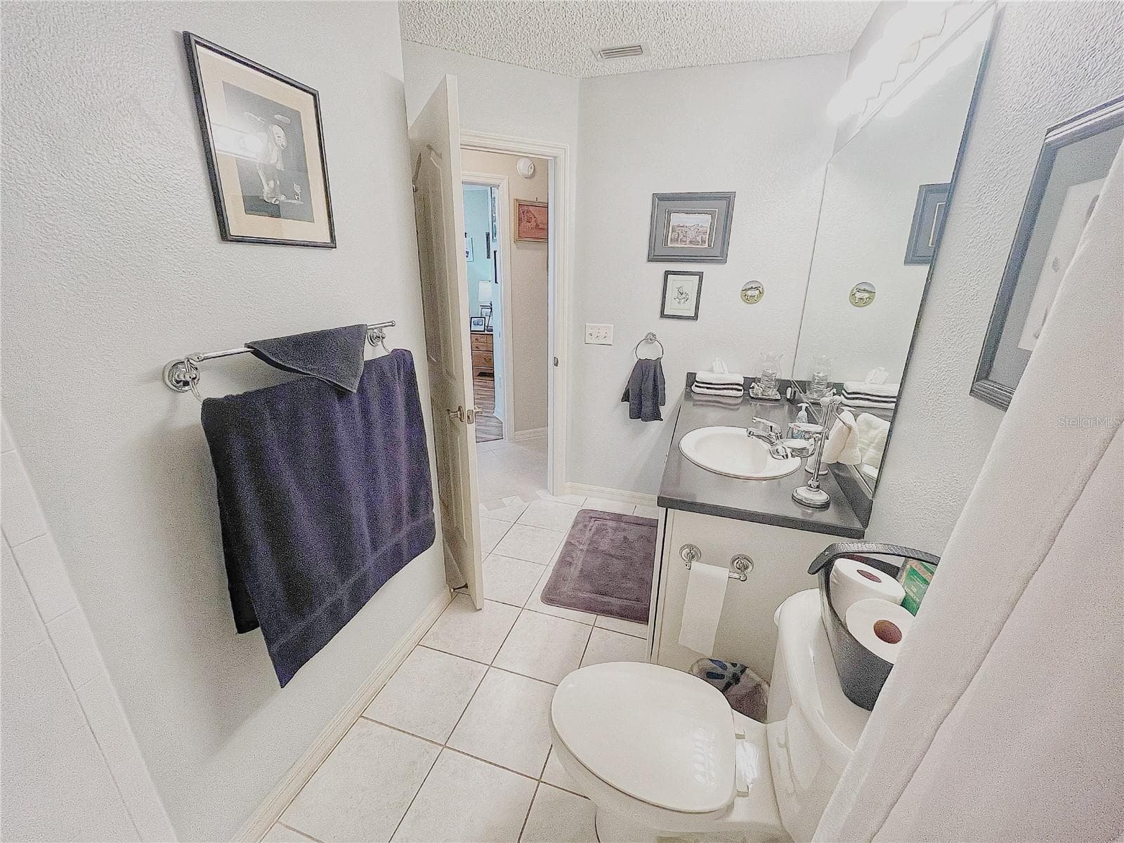 Single Family Residence at 3209 HAMPTON LN, THE VILLAGES, photo 58 of 59