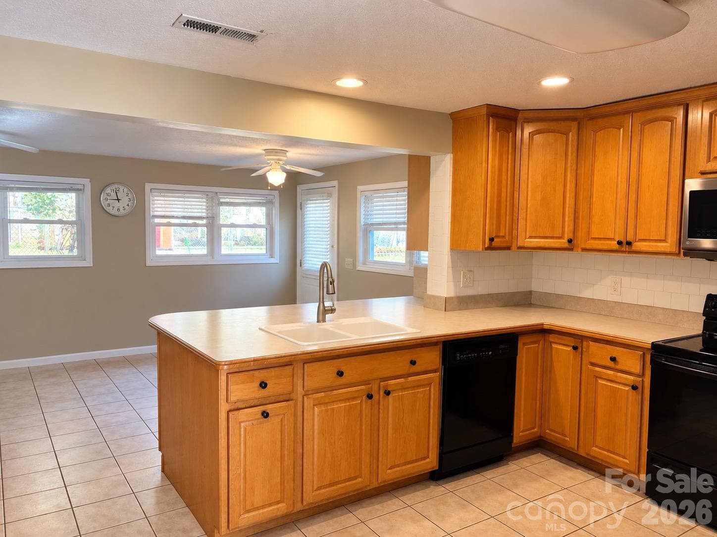 Open Kitchen area. - 203 Regan Street, East Flat Rock