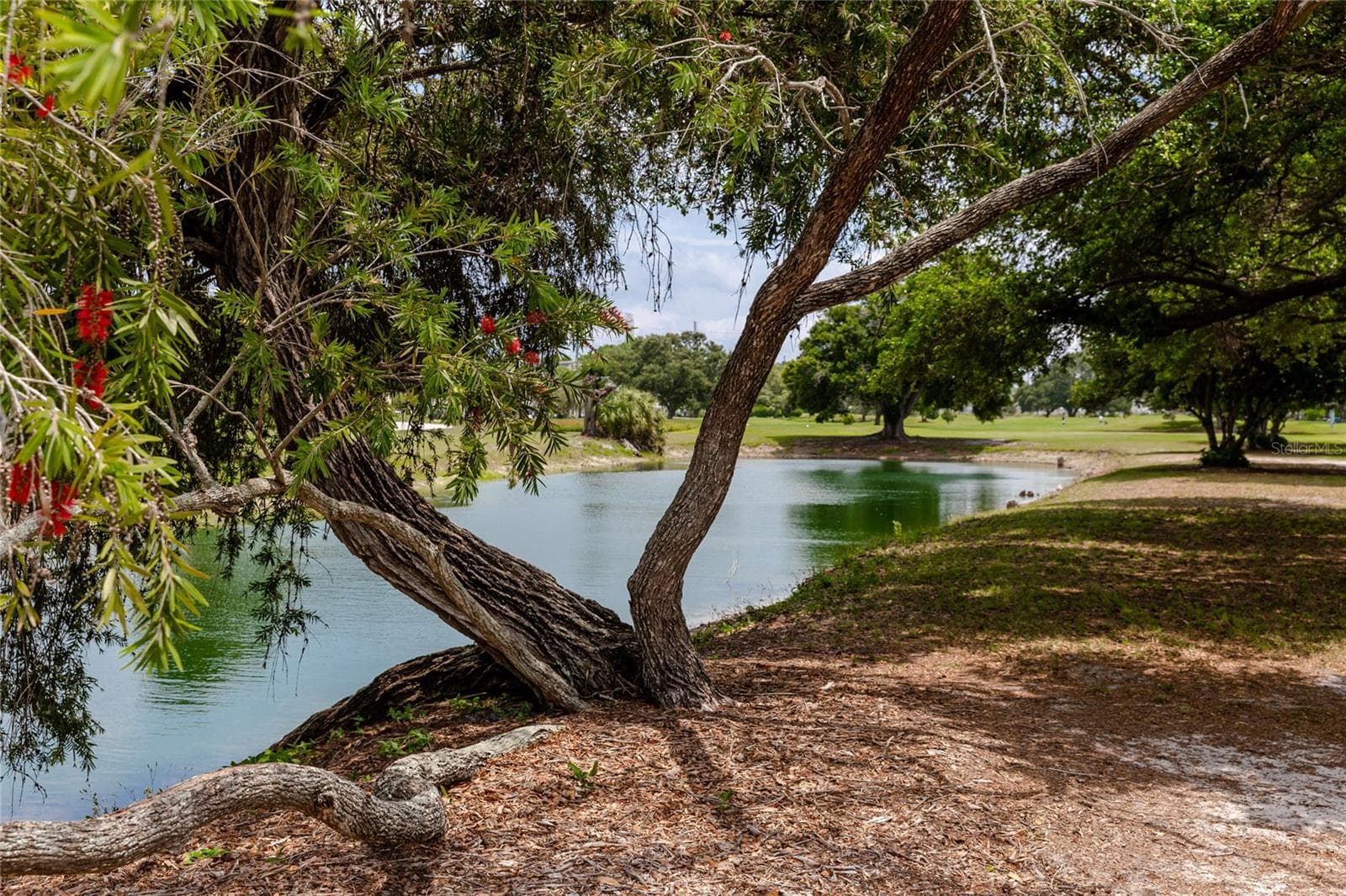 Condominium at 2042 AUSTRALIA WAY W #76, CLEARWATER, photo 32 of 41