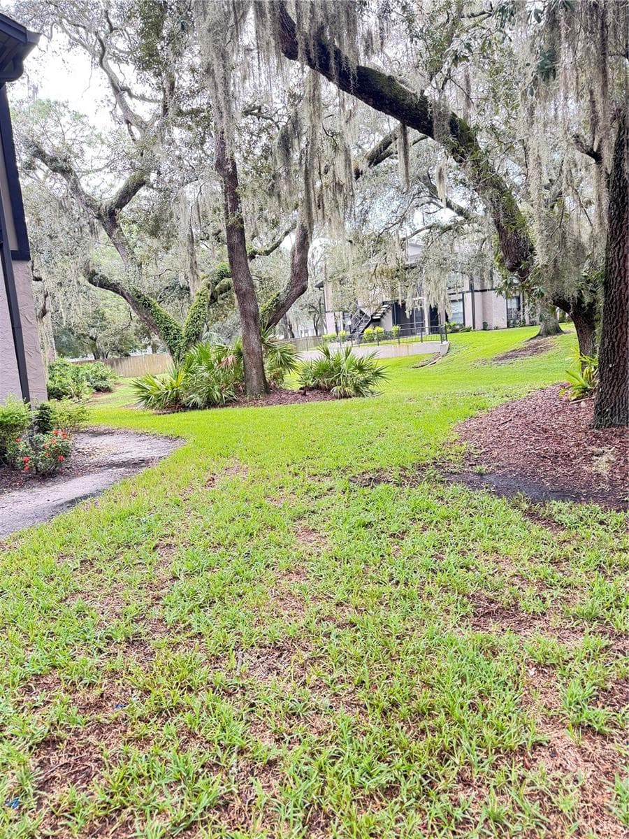 Yard Space - 4033 DREAM OAK PL #101, TAMPA