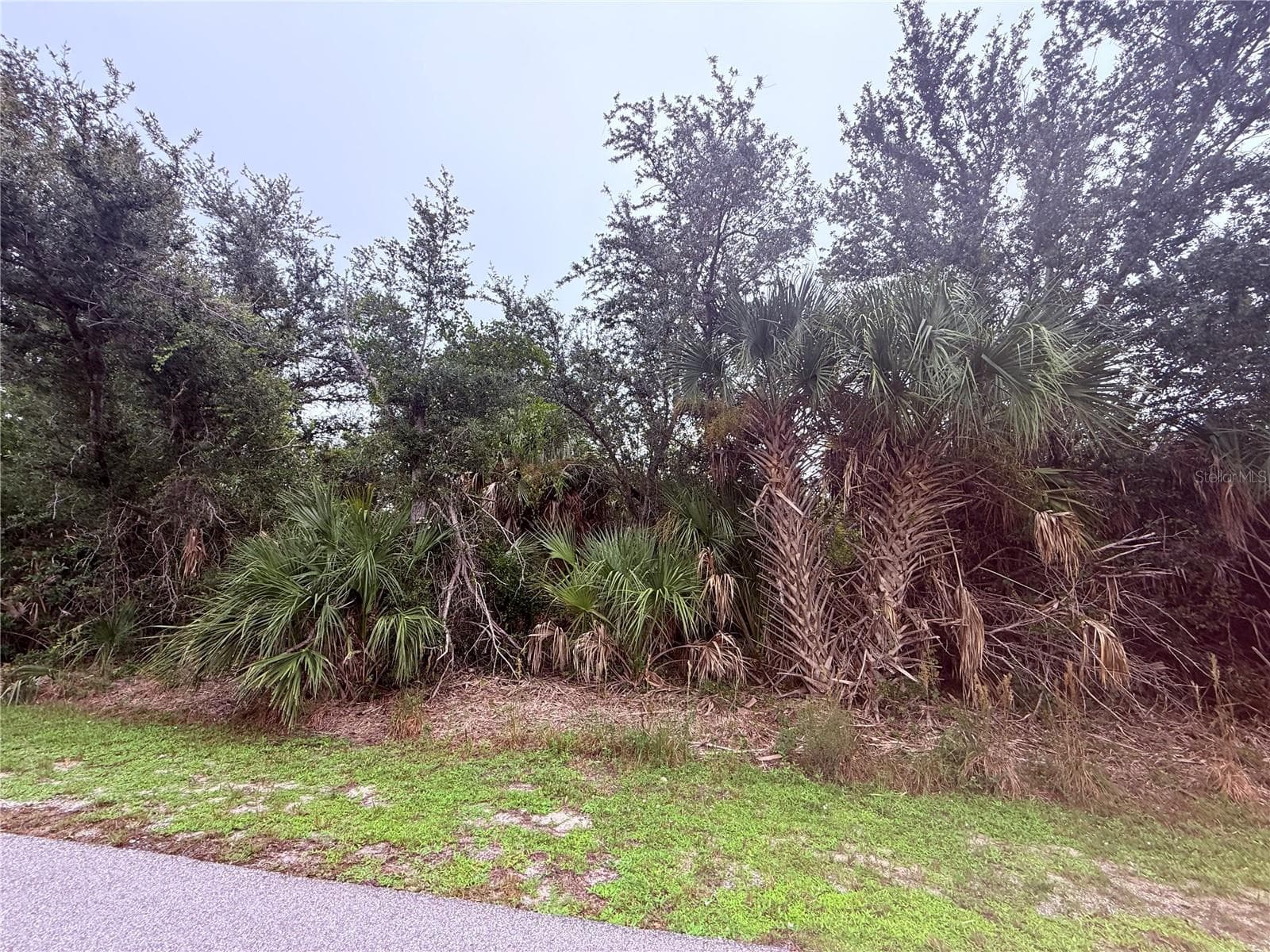 Land at 9477 APPLIN CIR, PORT CHARLOTTE, photo 4 of 4