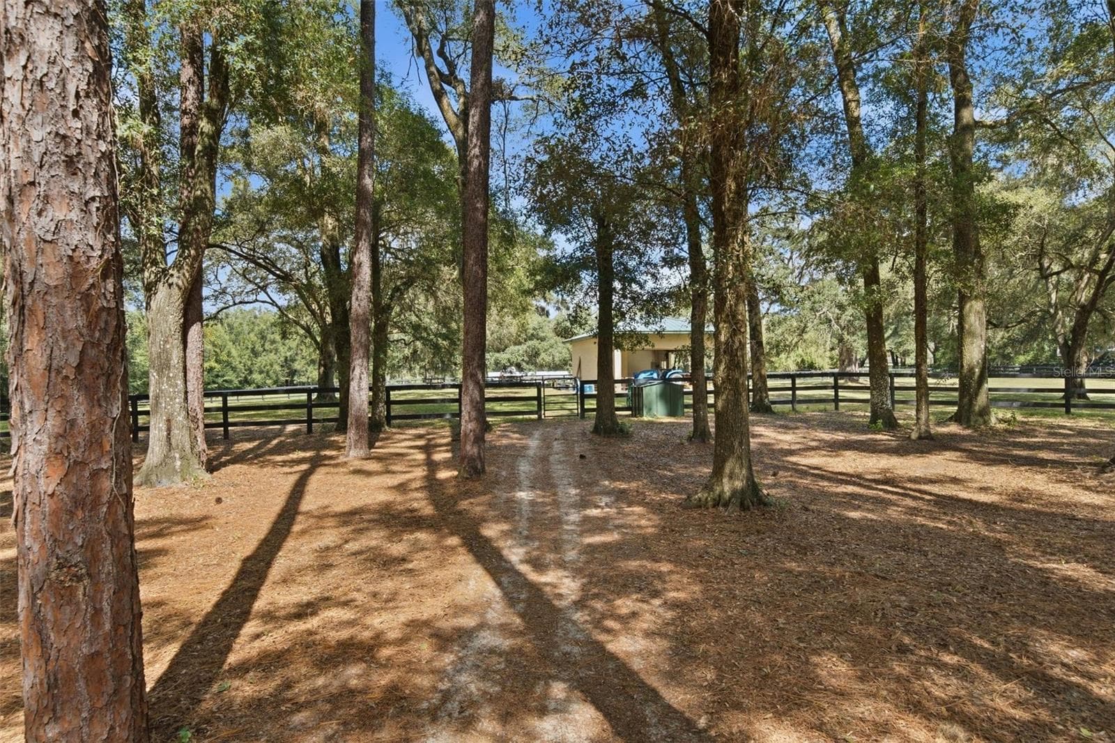 Single Family Residence at 3 CARRY BACK RD, OCALA, photo 64 of 85