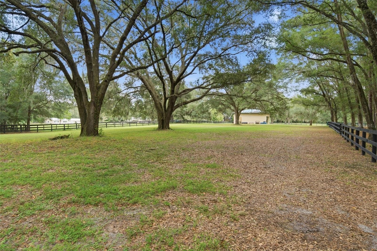 Single Family Residence at 3 CARRY BACK RD, OCALA, photo 69 of 85