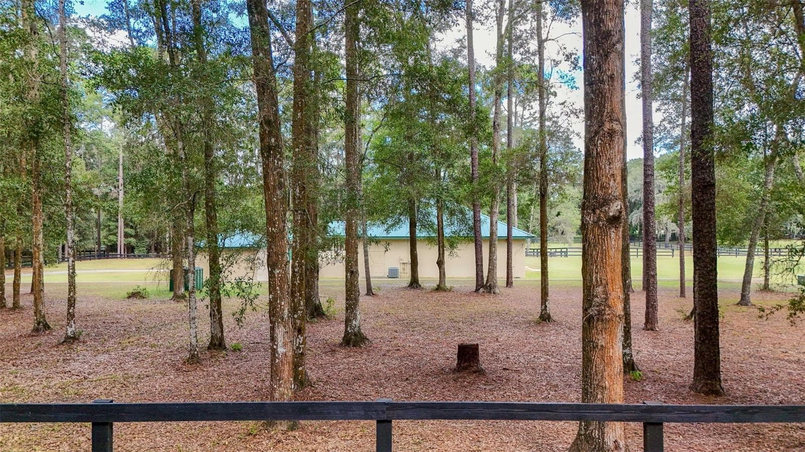 Single Family Residence at 3 CARRY BACK RD, OCALA, photo 82 of 85