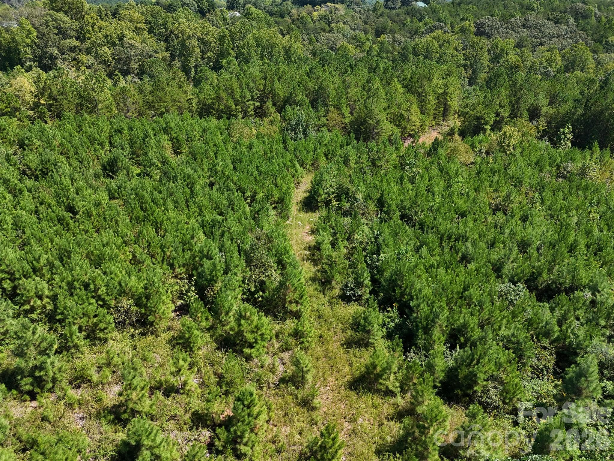 Acreage at 2125 Whiteside Road, Mill Spring, photo 4 of 7
