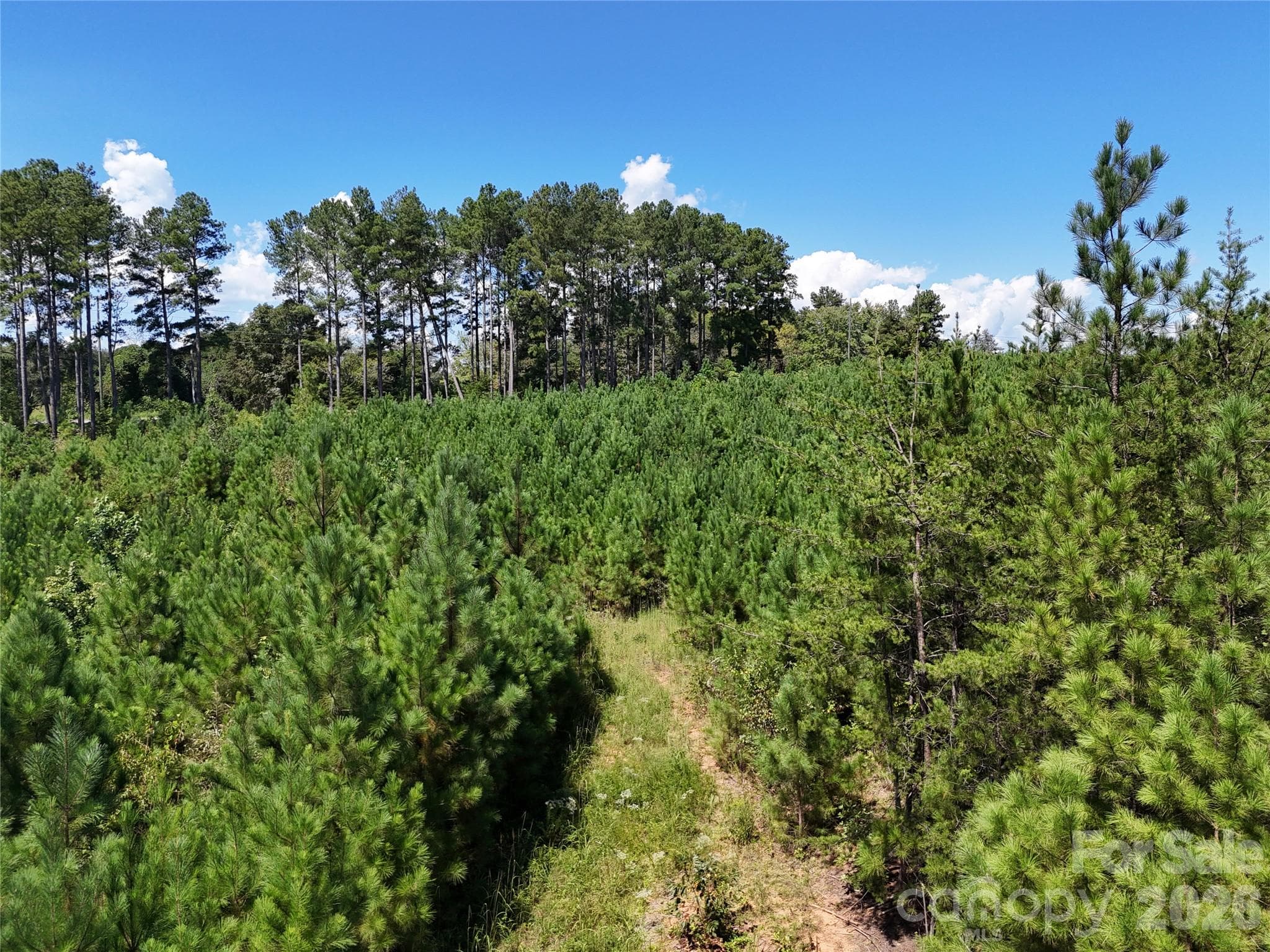 Acreage at 2125 Whiteside Road, Mill Spring, photo 6 of 7