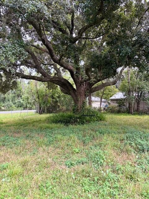 Front Tree with swing - 21103 REINDEER RD, CHRISTMAS