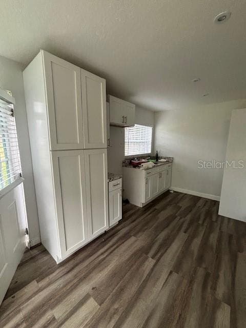 ADU/Seperate In-Law Suite- Kitchen - 21103 REINDEER RD, CHRISTMAS