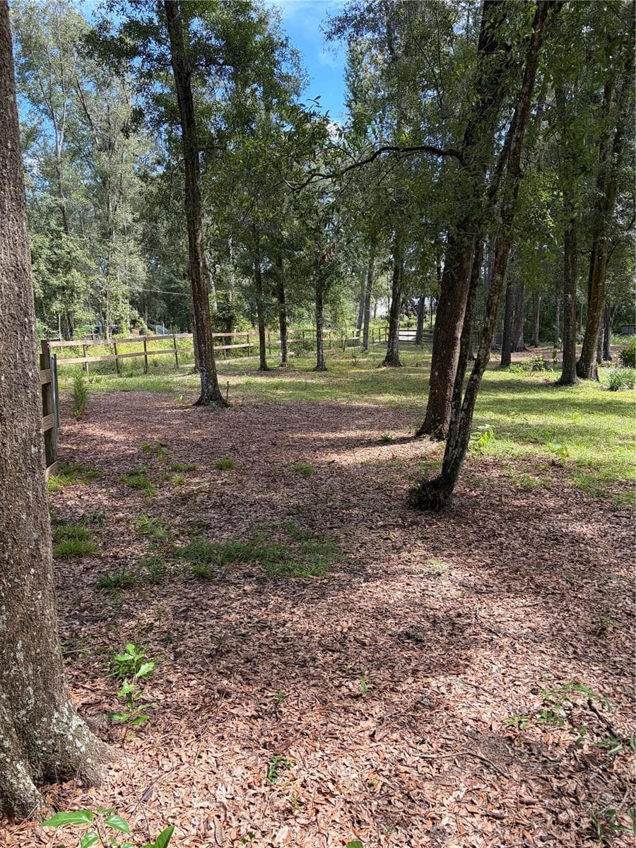 part of front yard - 6401 SUNNYSIDE RANCH RD, BROOKSVILLE