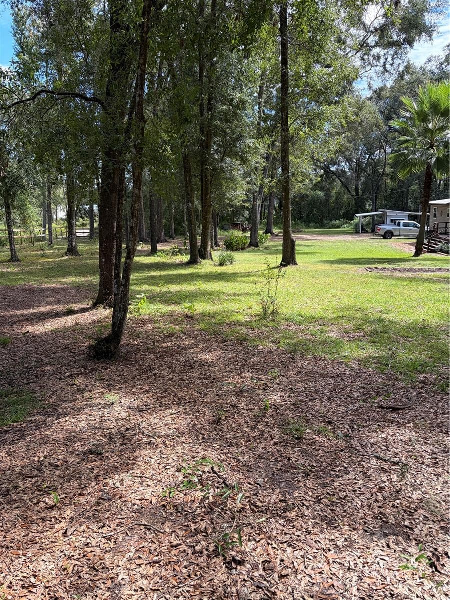 front yard and second driveway - 6401 SUNNYSIDE RANCH RD, BROOKSVILLE