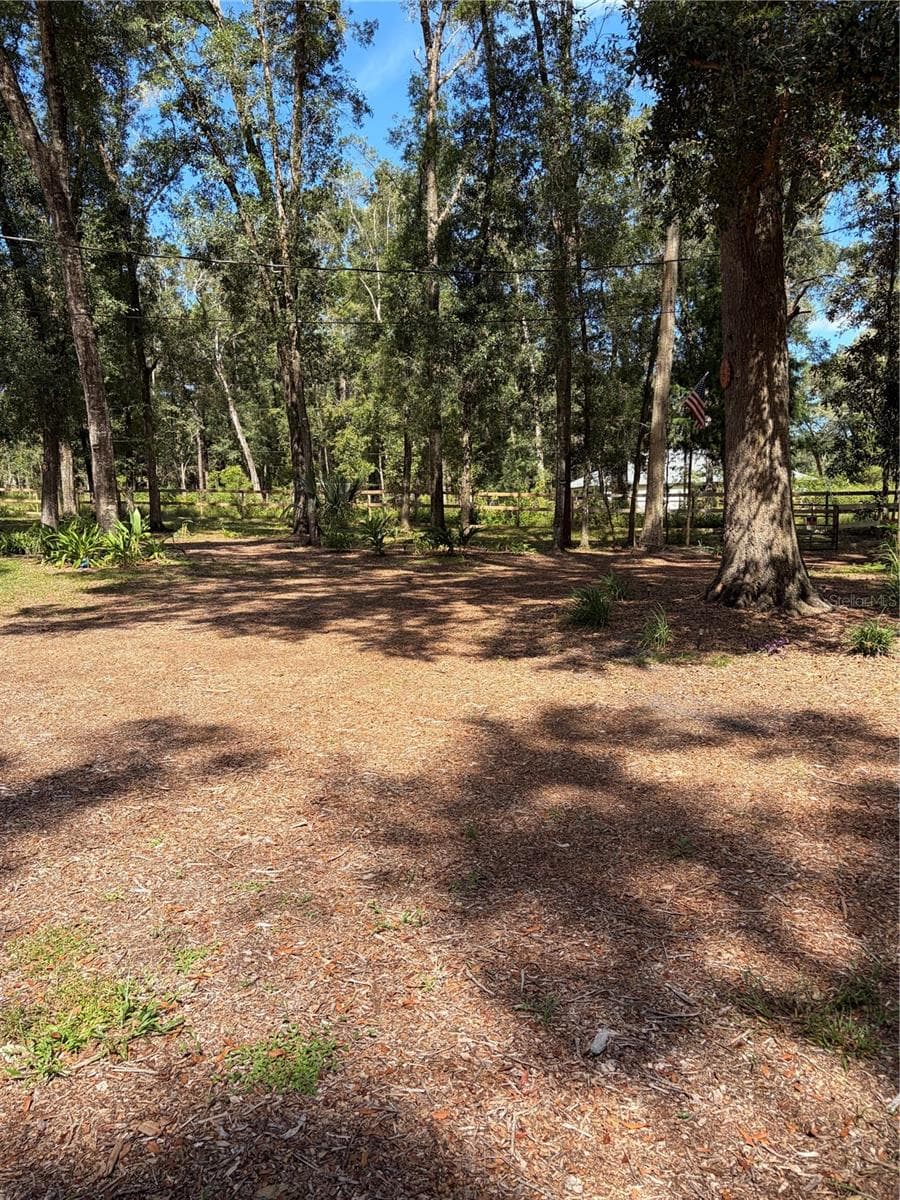 side yard - 6401 SUNNYSIDE RANCH RD, BROOKSVILLE