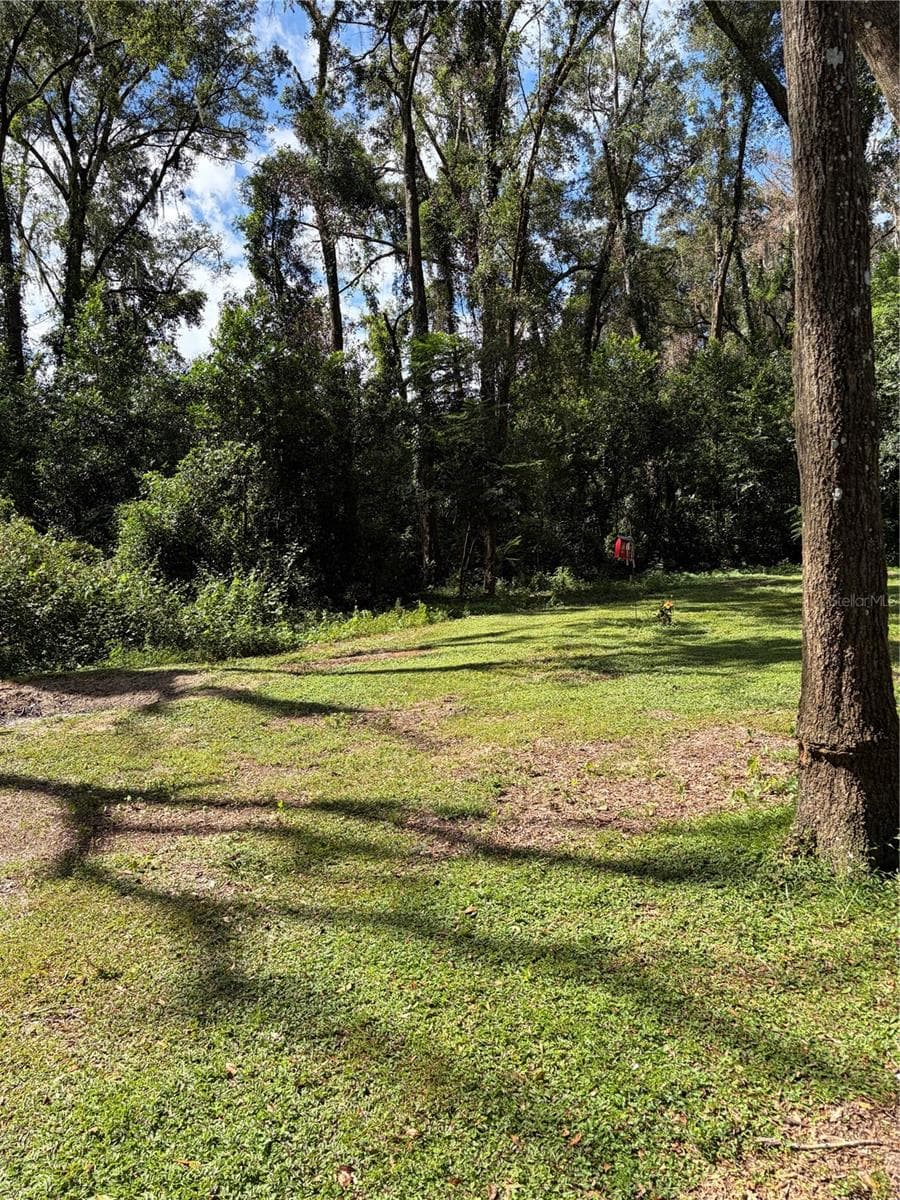 back yard, lots of birds, squirels - 6401 SUNNYSIDE RANCH RD, BROOKSVILLE