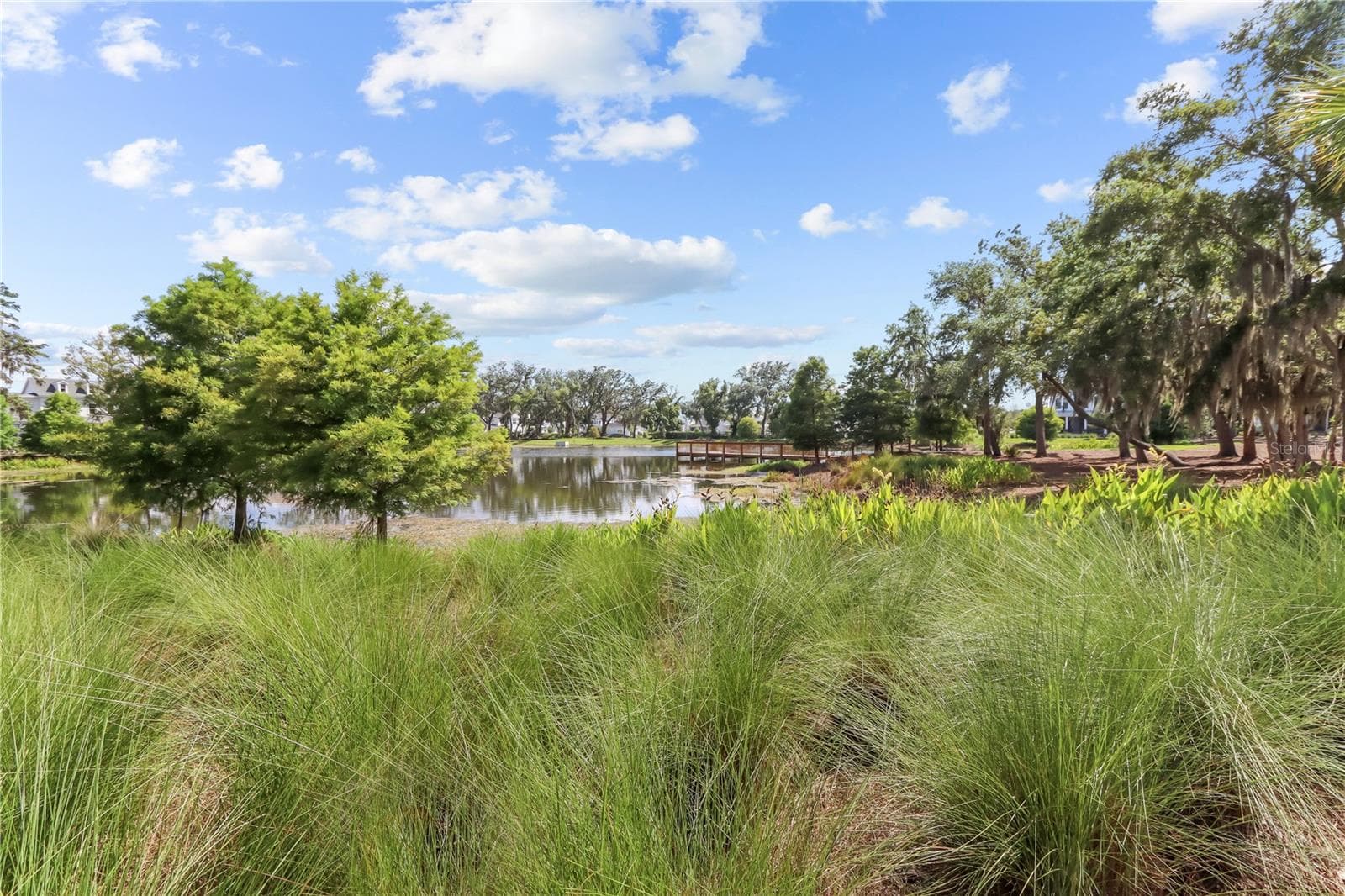 Single Family Residence at 923 COLIE ALY, WINTER GARDEN, photo 25 of 27