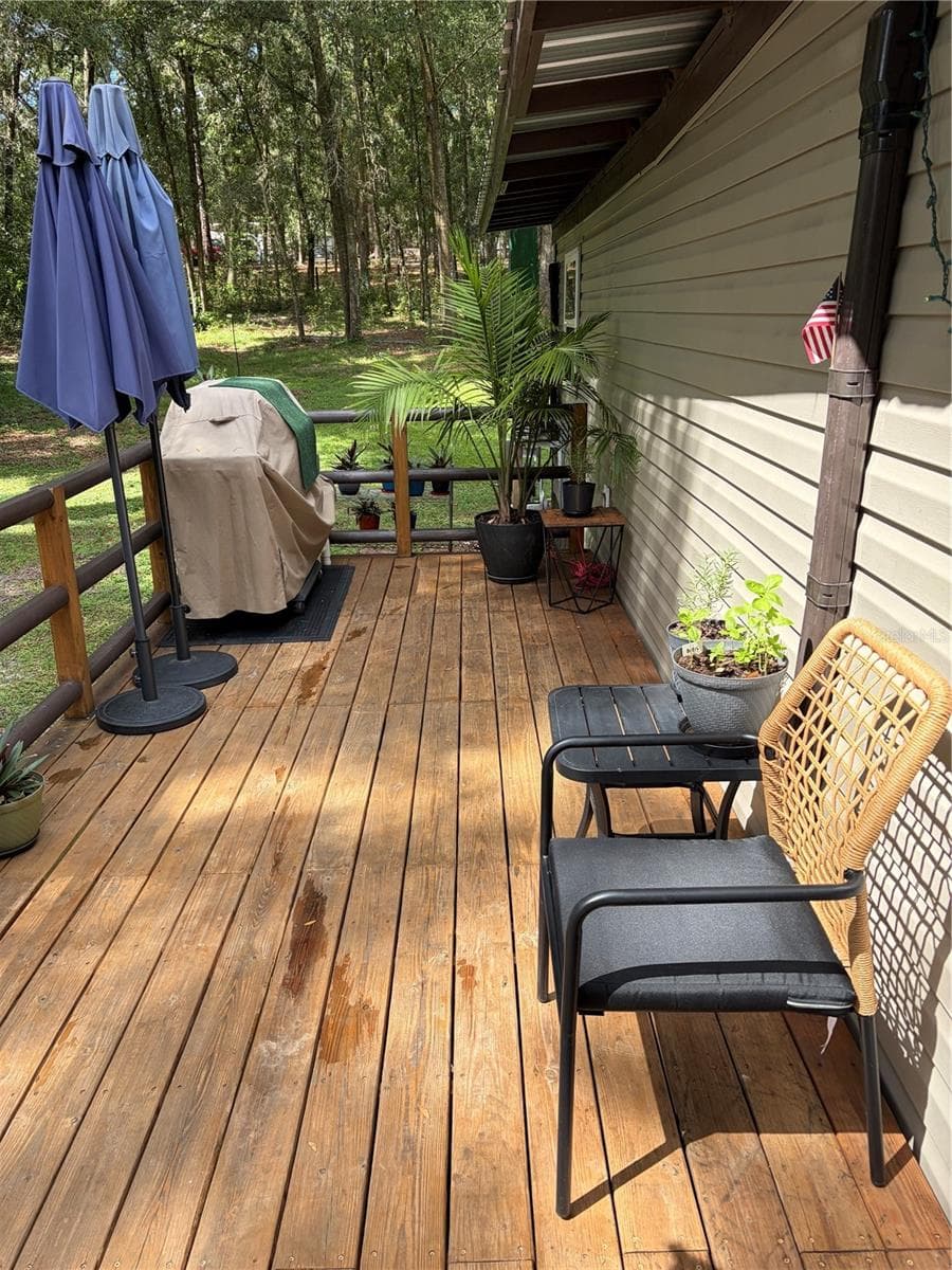 back porch - 6401 SUNNYSIDE RANCH RD, BROOKSVILLE