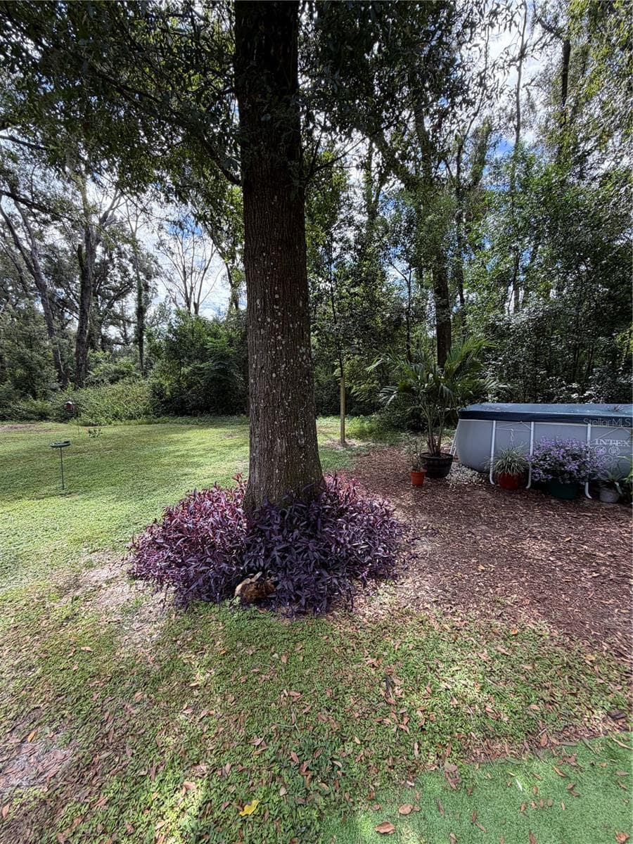 around pool area - 6401 SUNNYSIDE RANCH RD, BROOKSVILLE